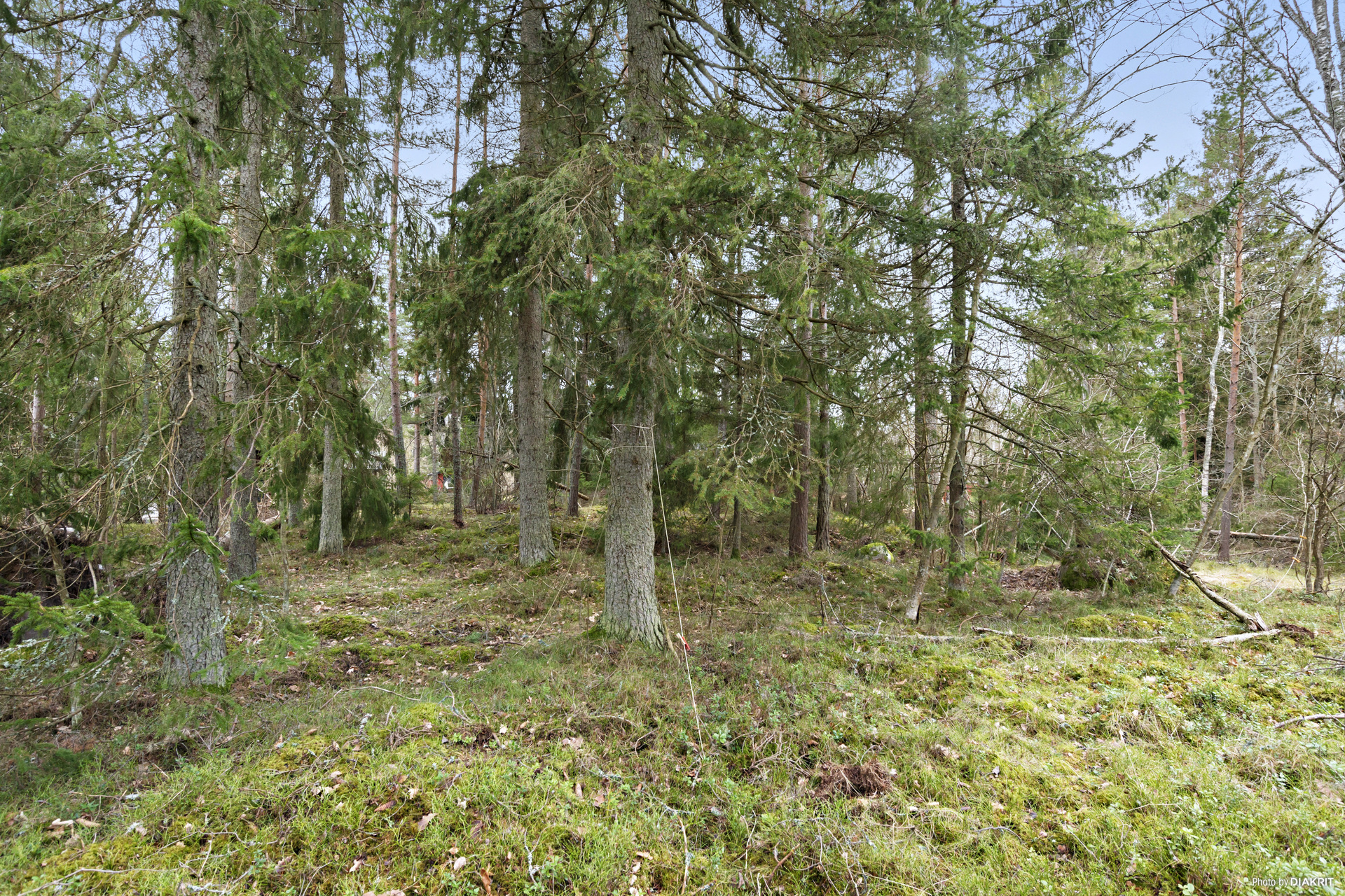 Furudalsvägen 29 – bild 6