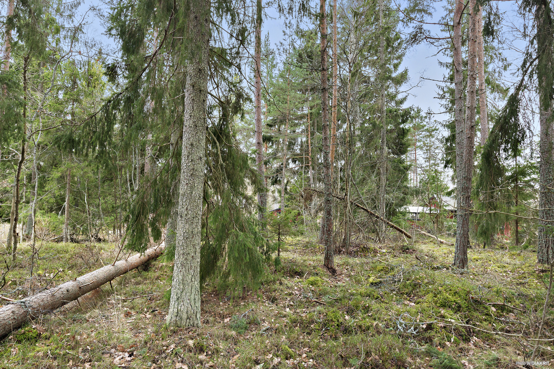 Furudalsvägen 29 – bild 5
