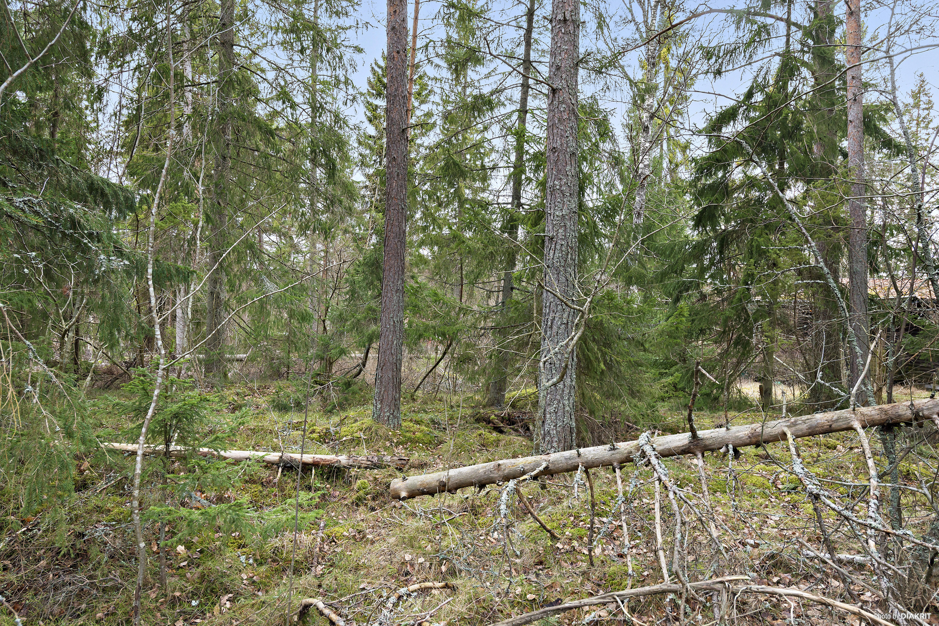 Furudalsvägen 29 – bild 3