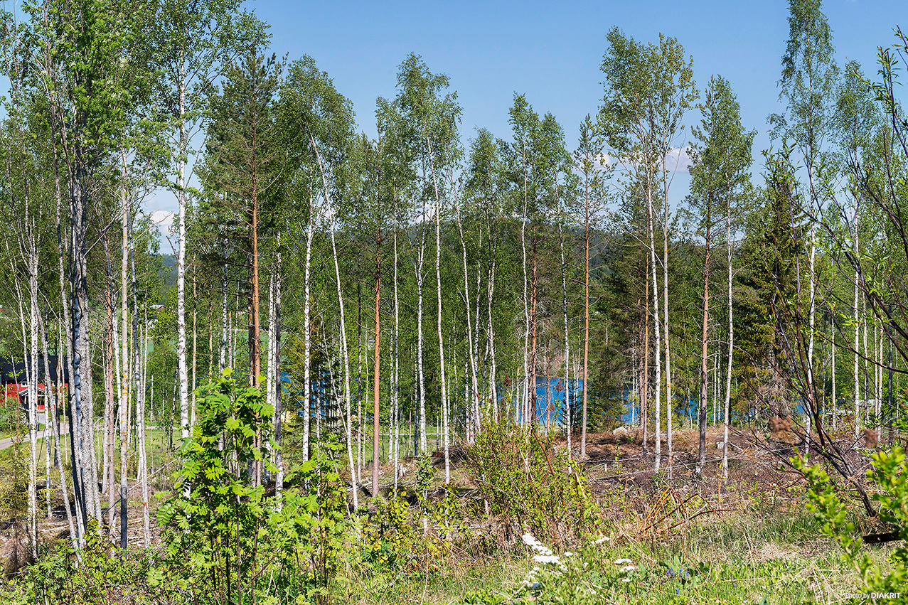 Hundsjö 327 – bild 3