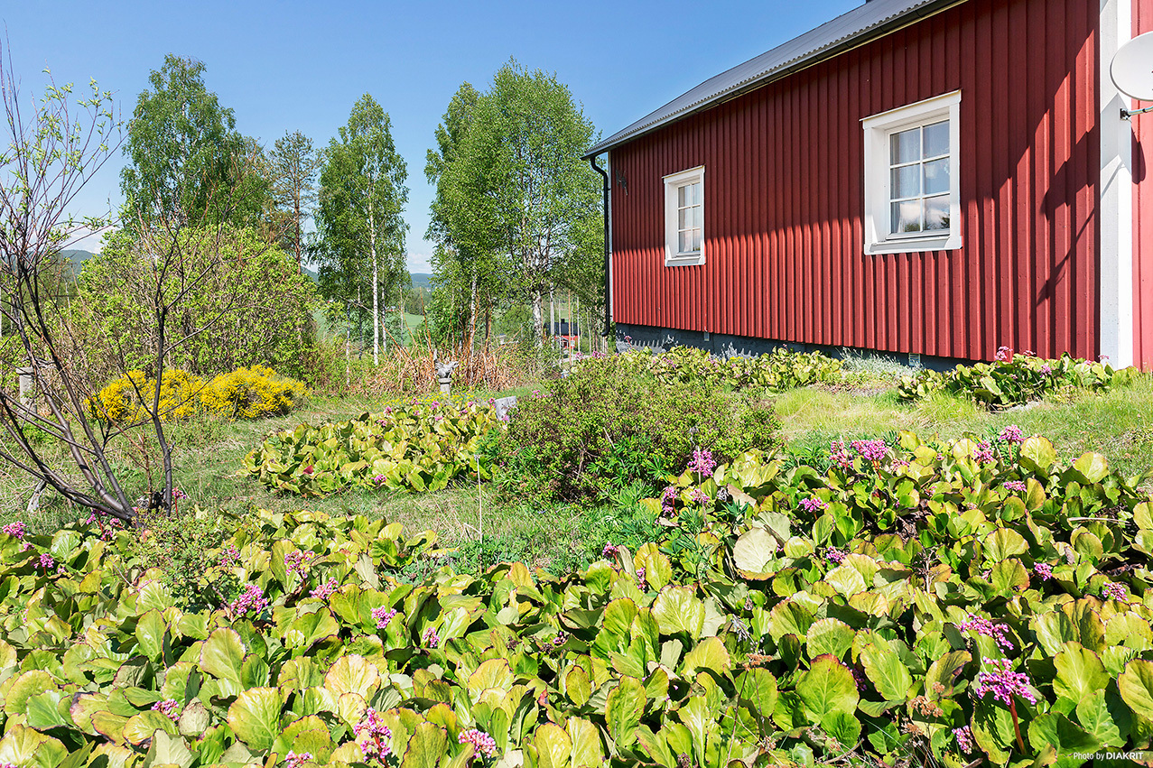 Hundsjö 327 – bild 5