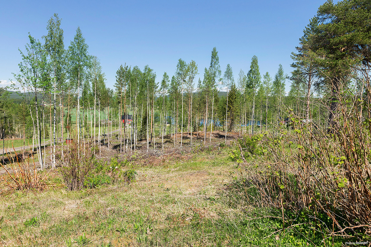 Hundsjö 327 – bild 8
