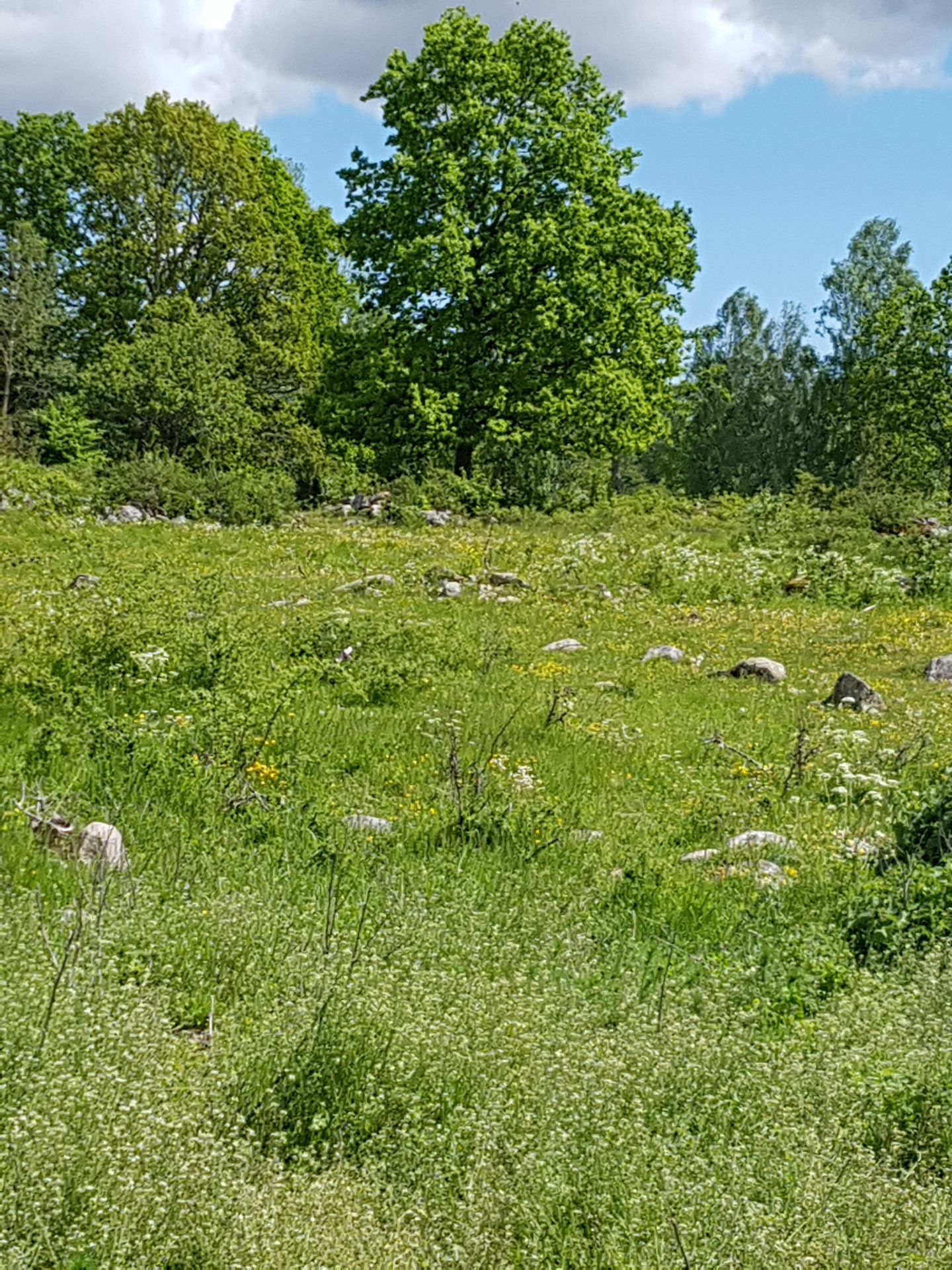 Osemåla 112 – bild 6