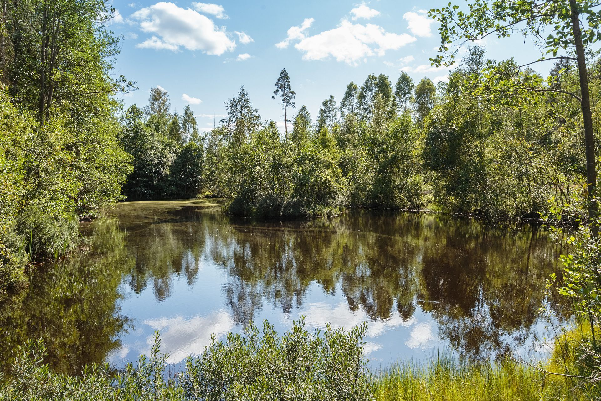 Ingelstad Lilla Nybygget – bild 8