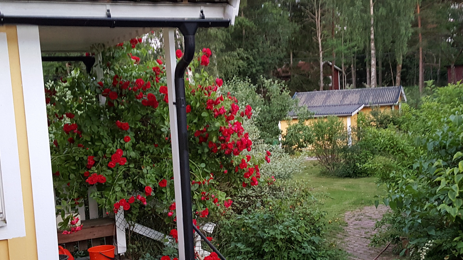 Ester Grönblads väg 8 – bild 4