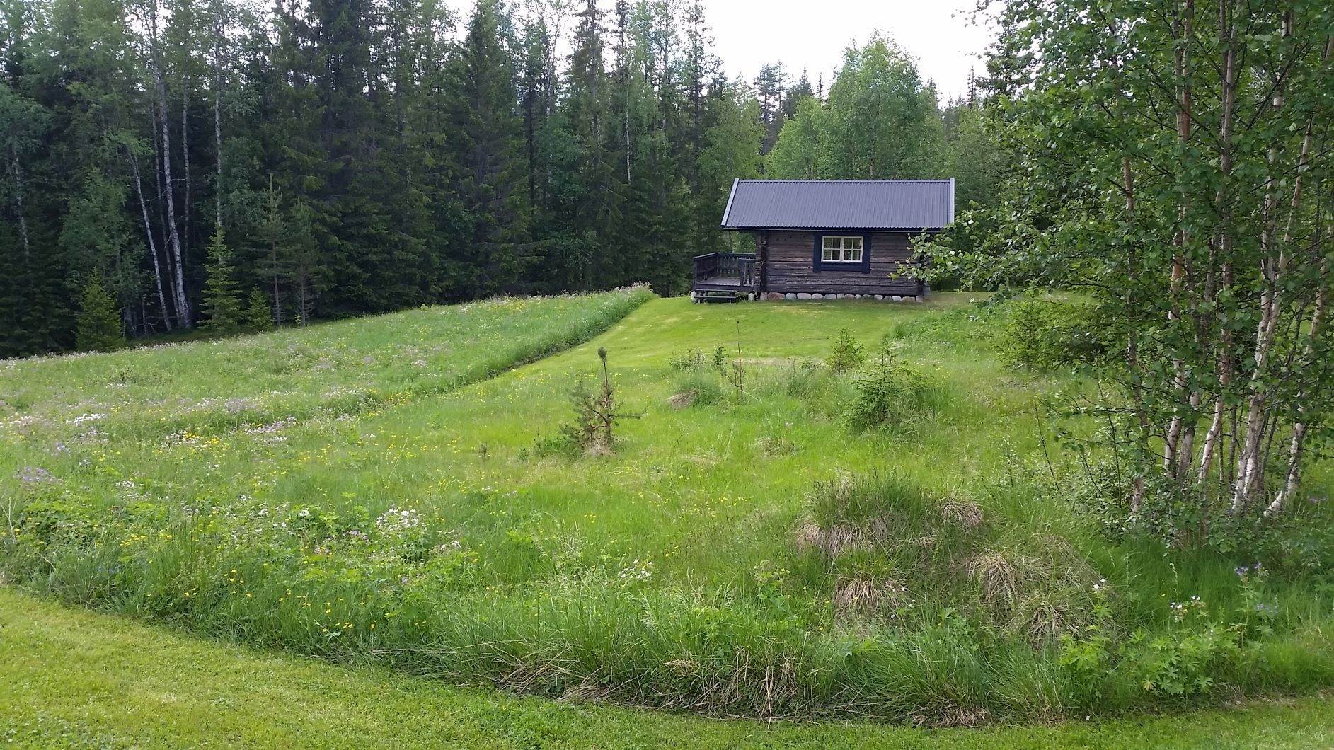 Nederhögen 767 – bild 3
