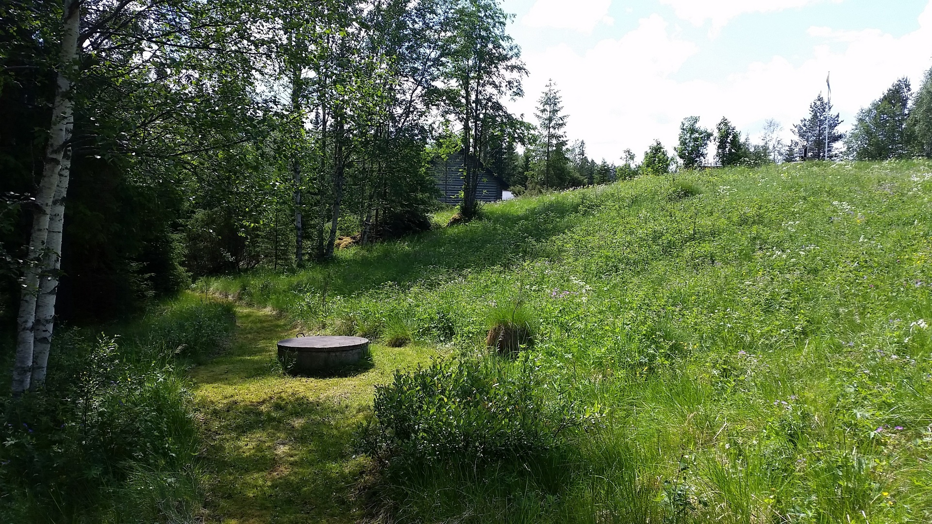 Nederhögen 767 – bild 8