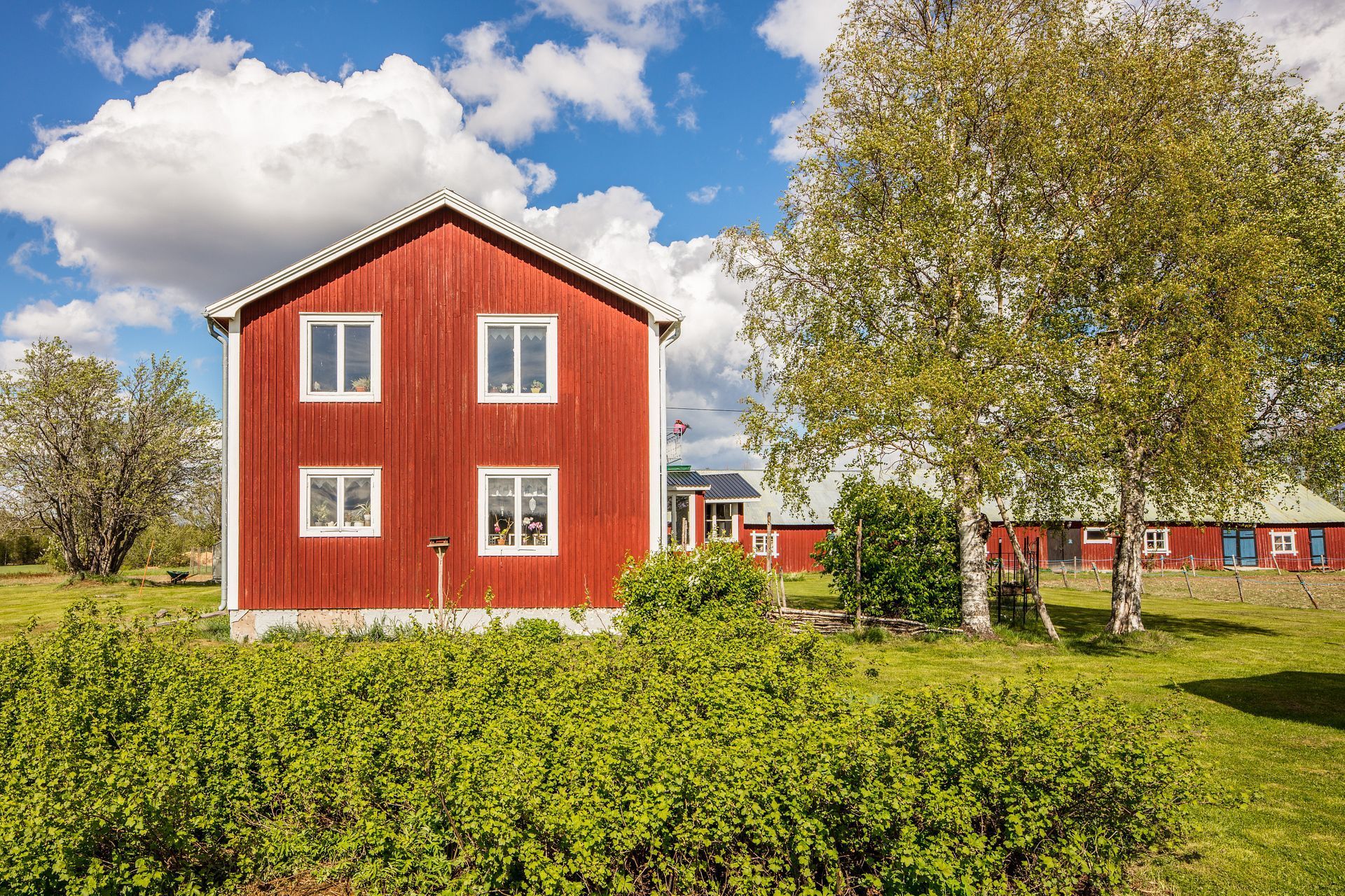 Norrlångträsk 231 – bild 5