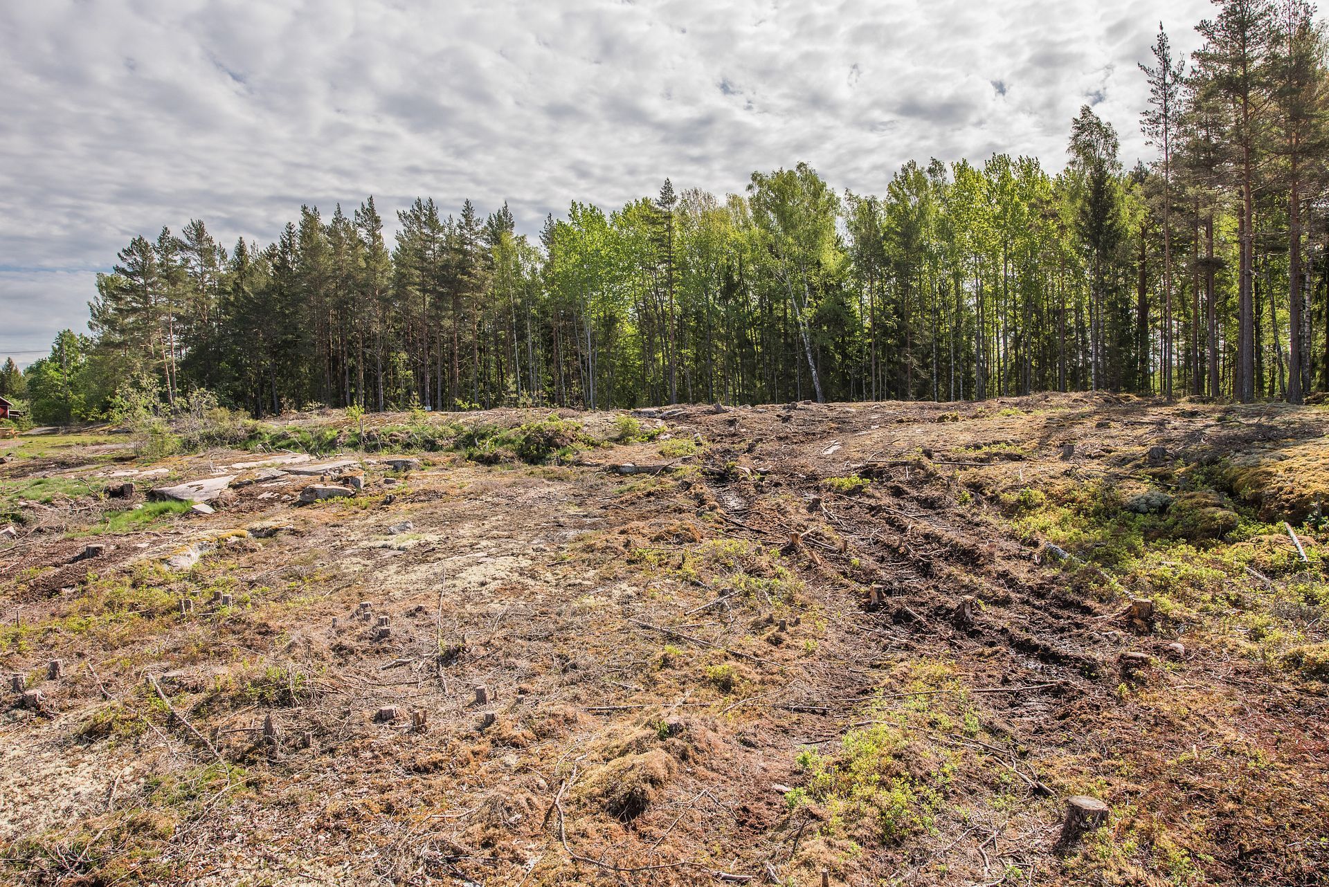 Fågelviks-Rud 812 – bild 5