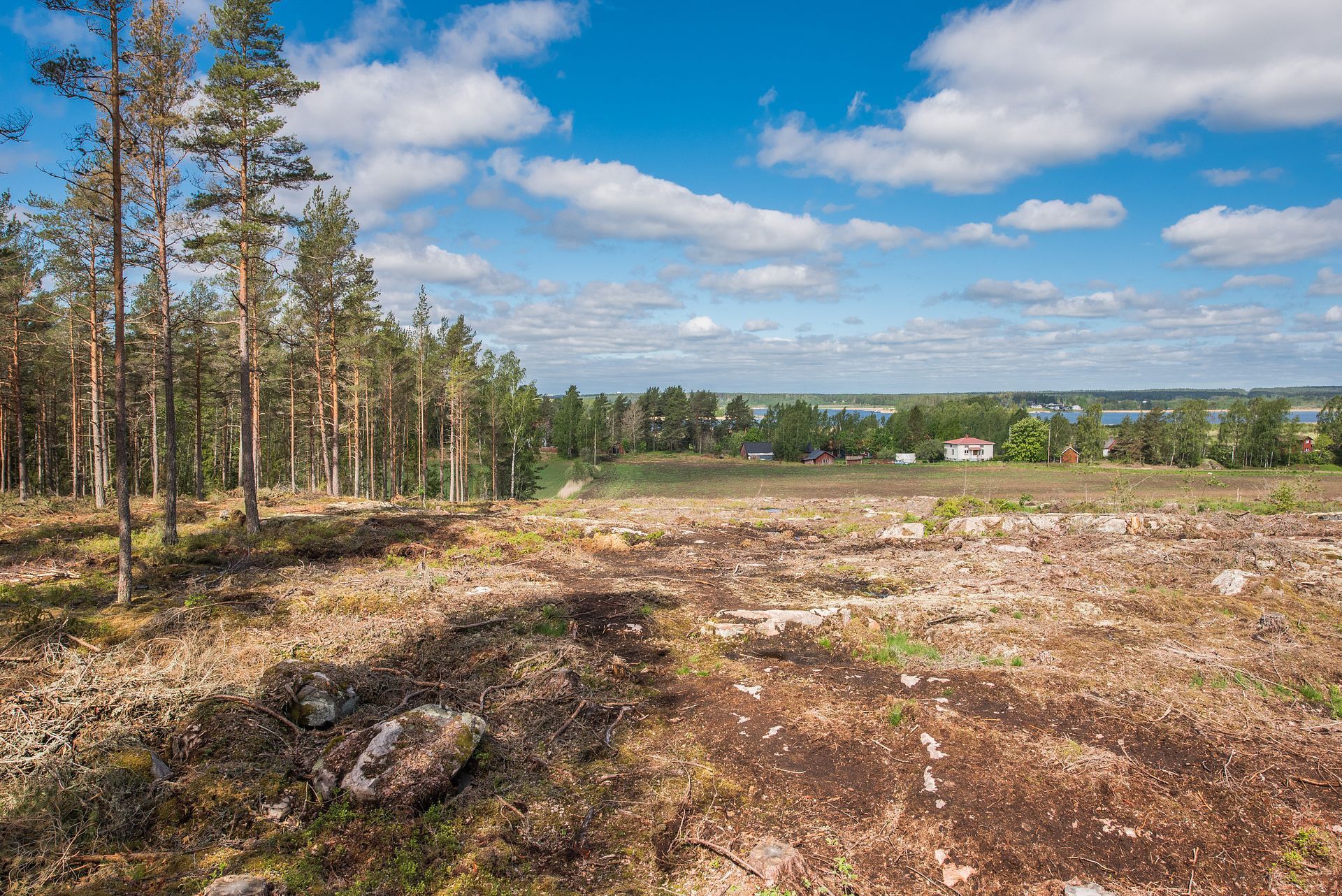 Fågelviks-Rud 812 – bild 7