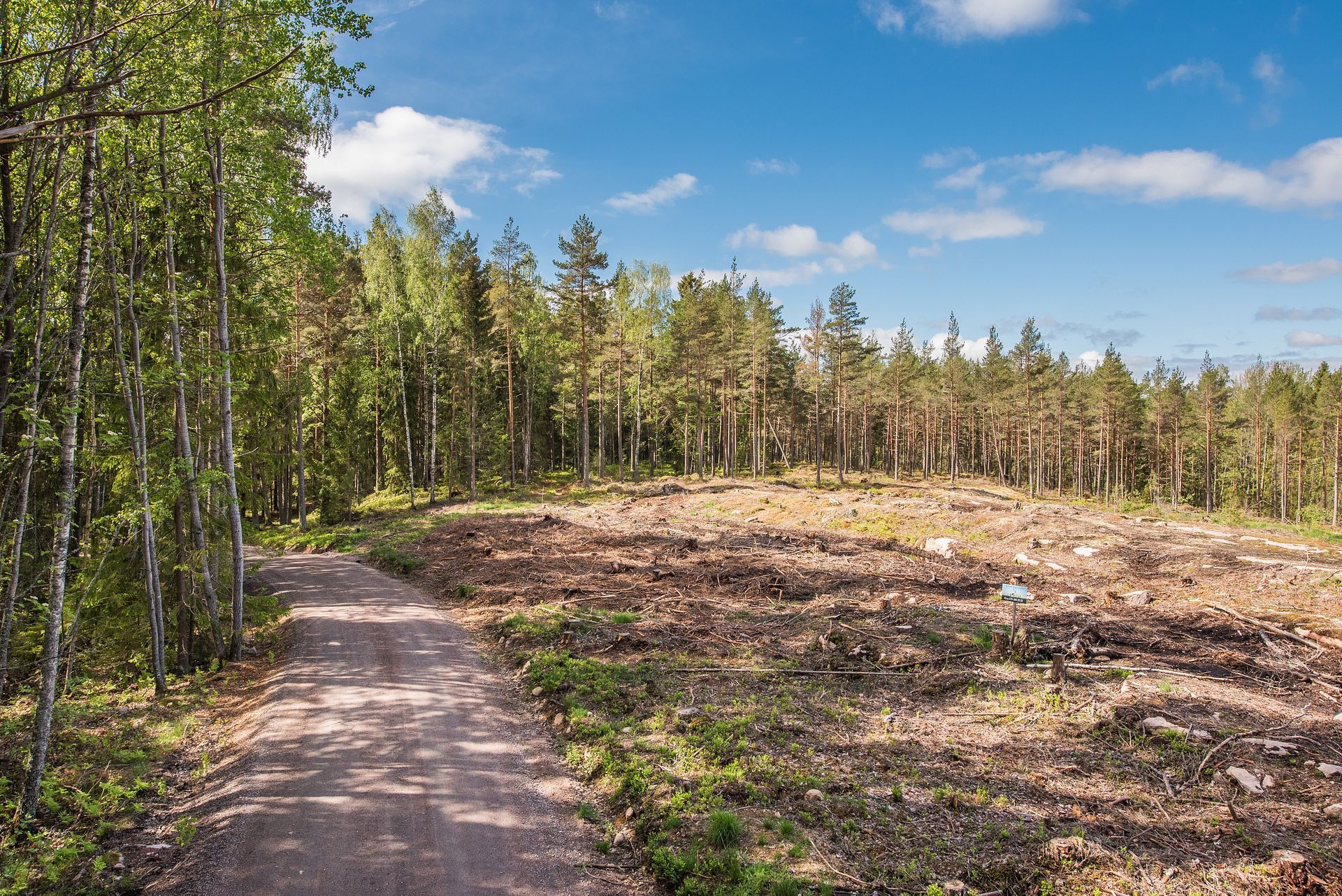 Fågelviks-Rud 812 – bild 8