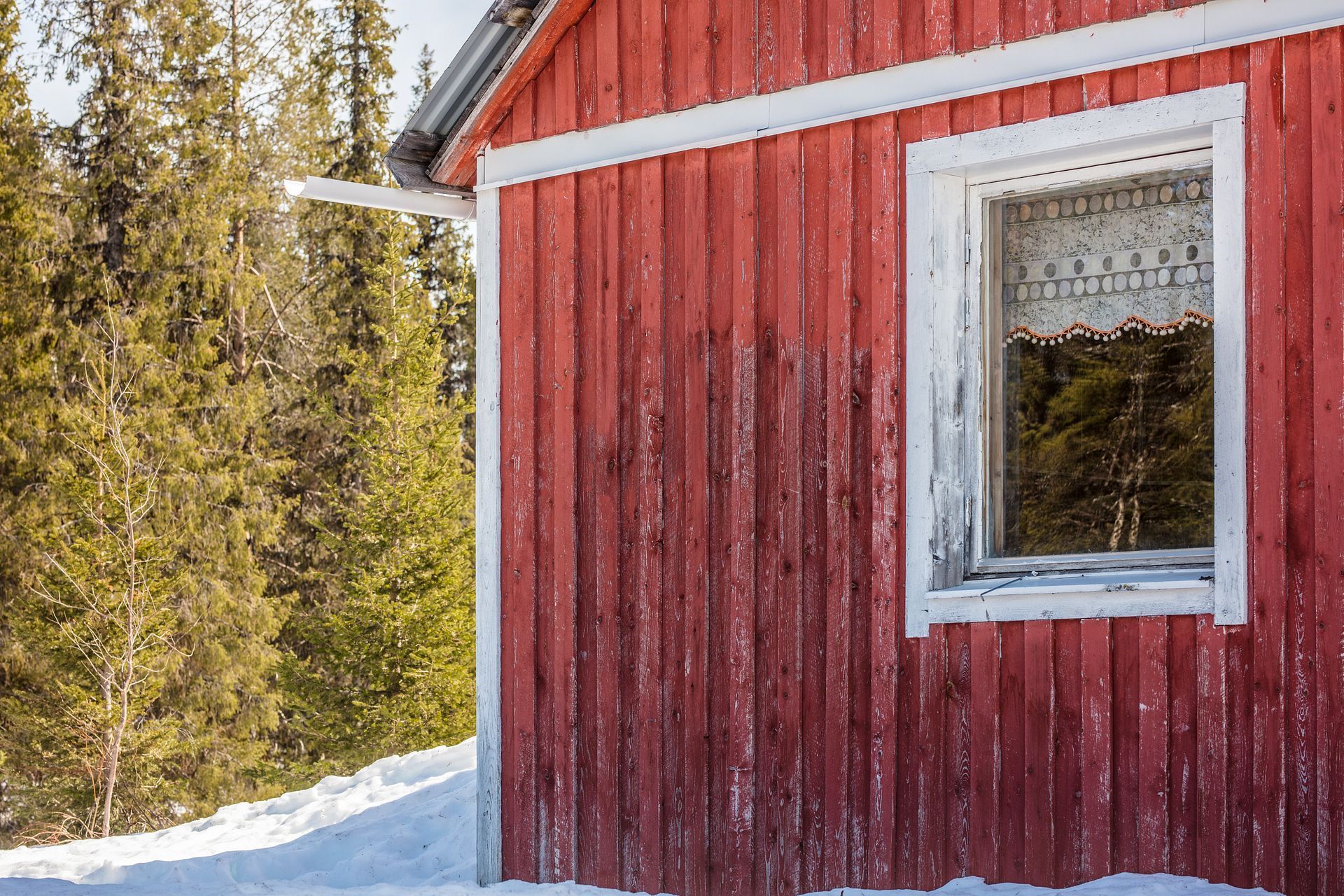 Lilla Tallberg 5 – bild 6
