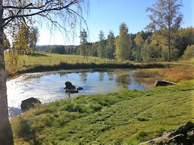 Hultatorp 107 – bild 3