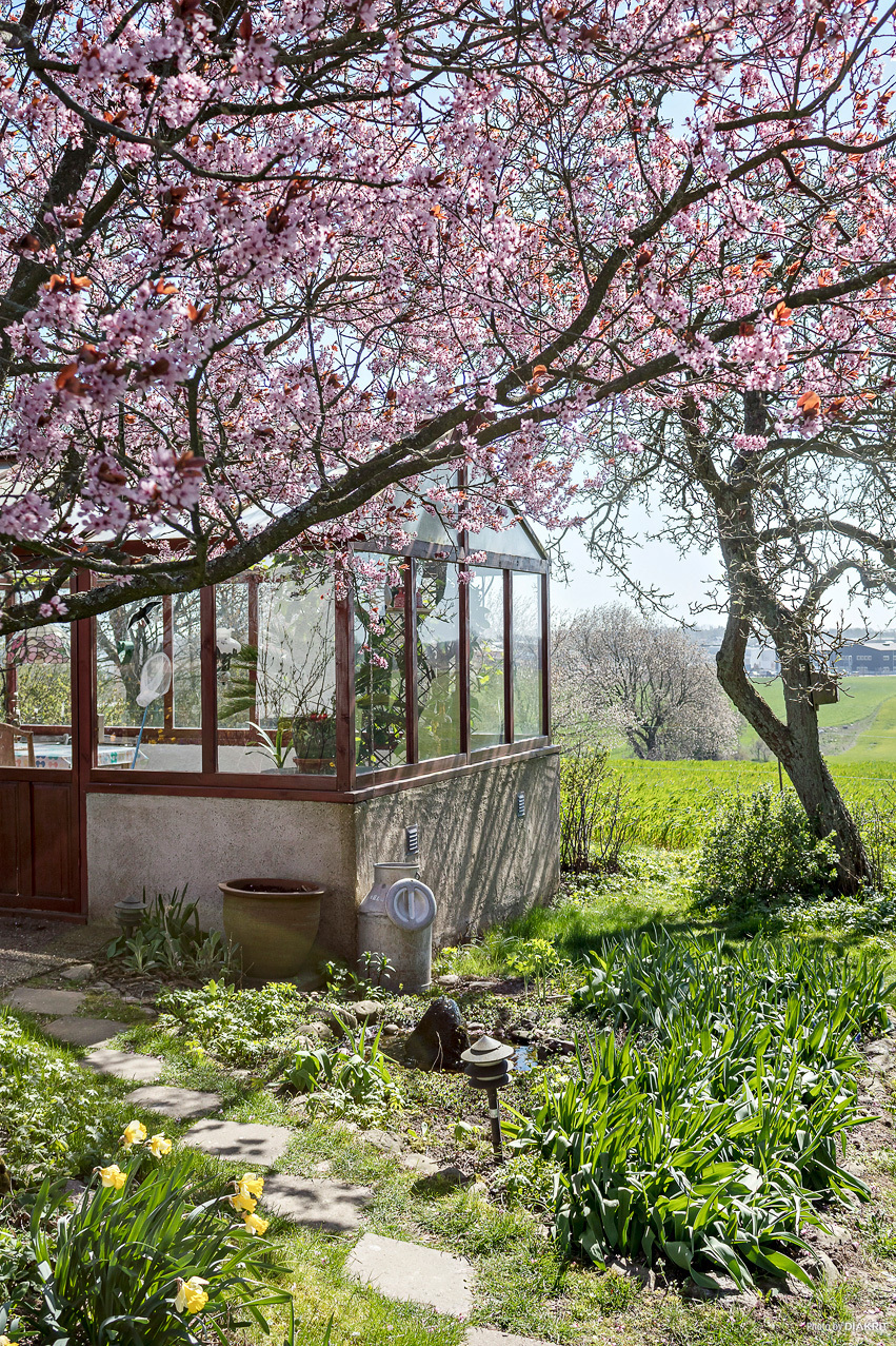Svaneholm 259 – bild 3