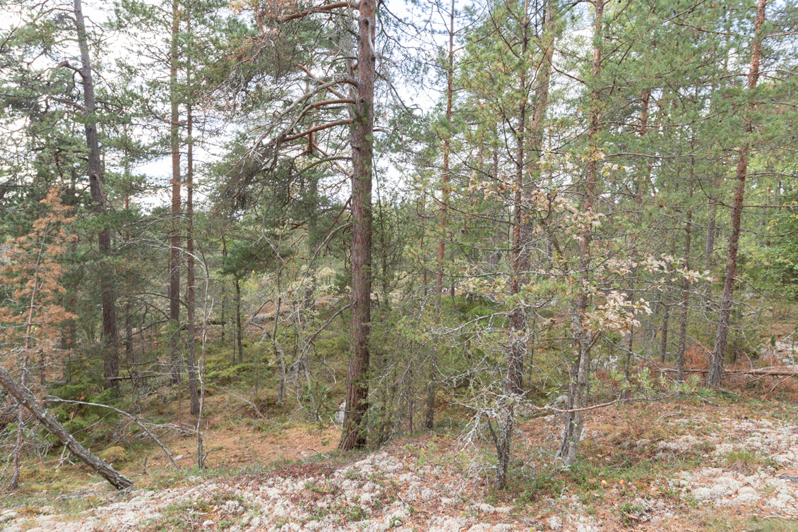 Marenslingan 47 – bild 6