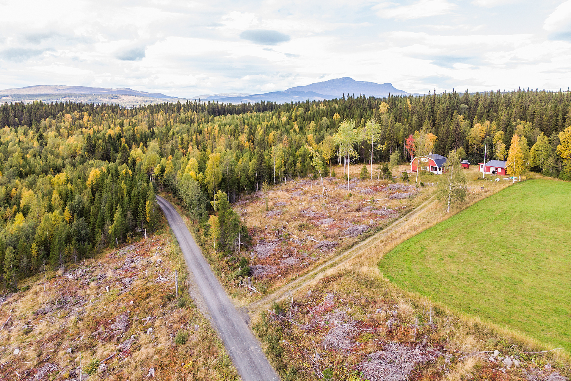 NYLAND 2:30 – bild 8
