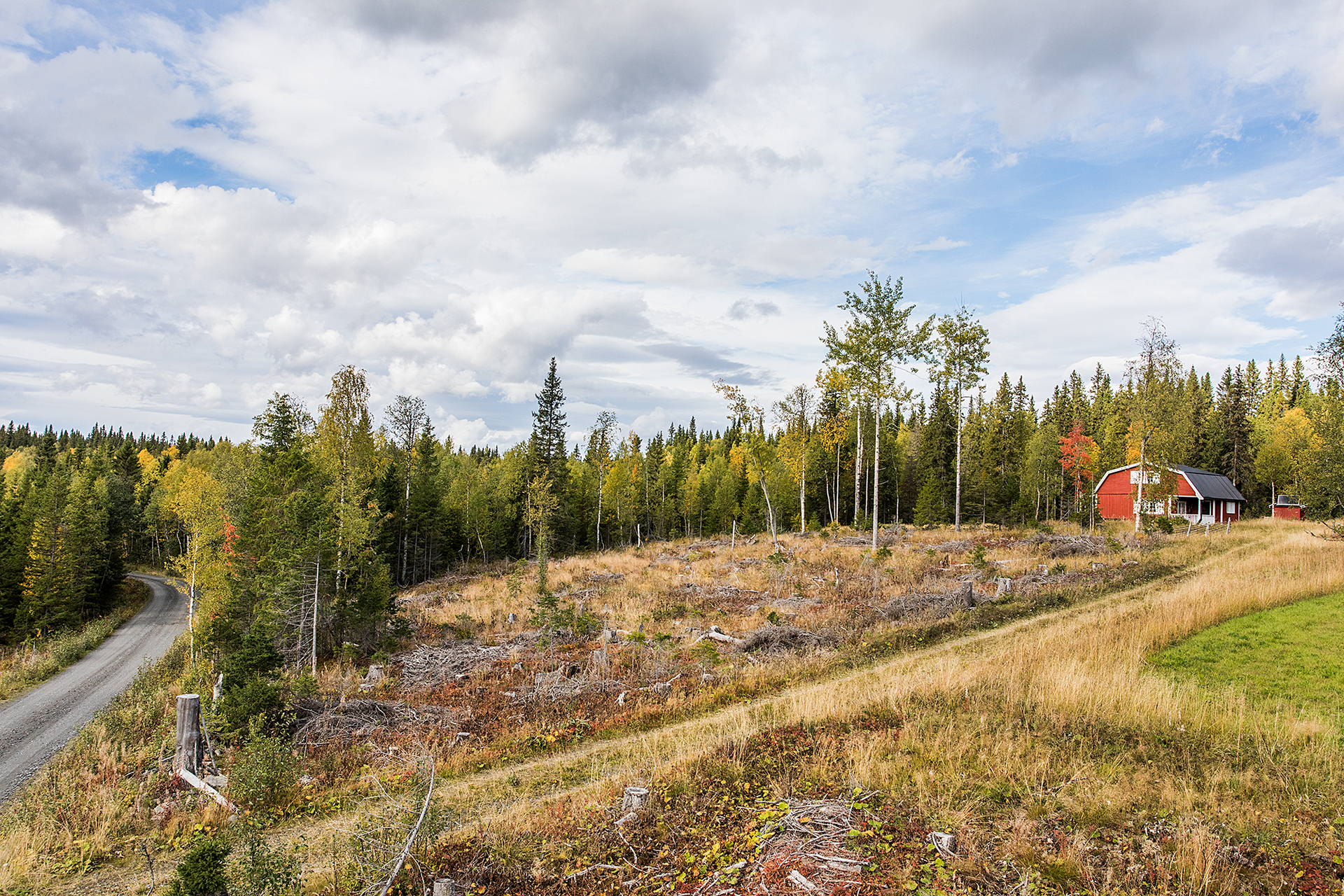 NYLAND 2:30 – bild 4