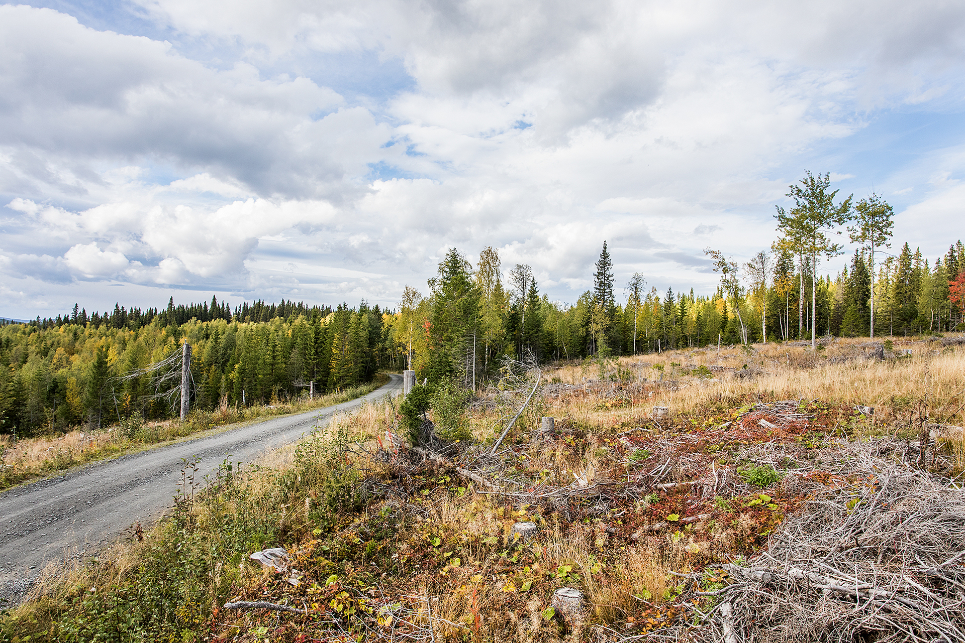 NYLAND 2:31 – bild 3