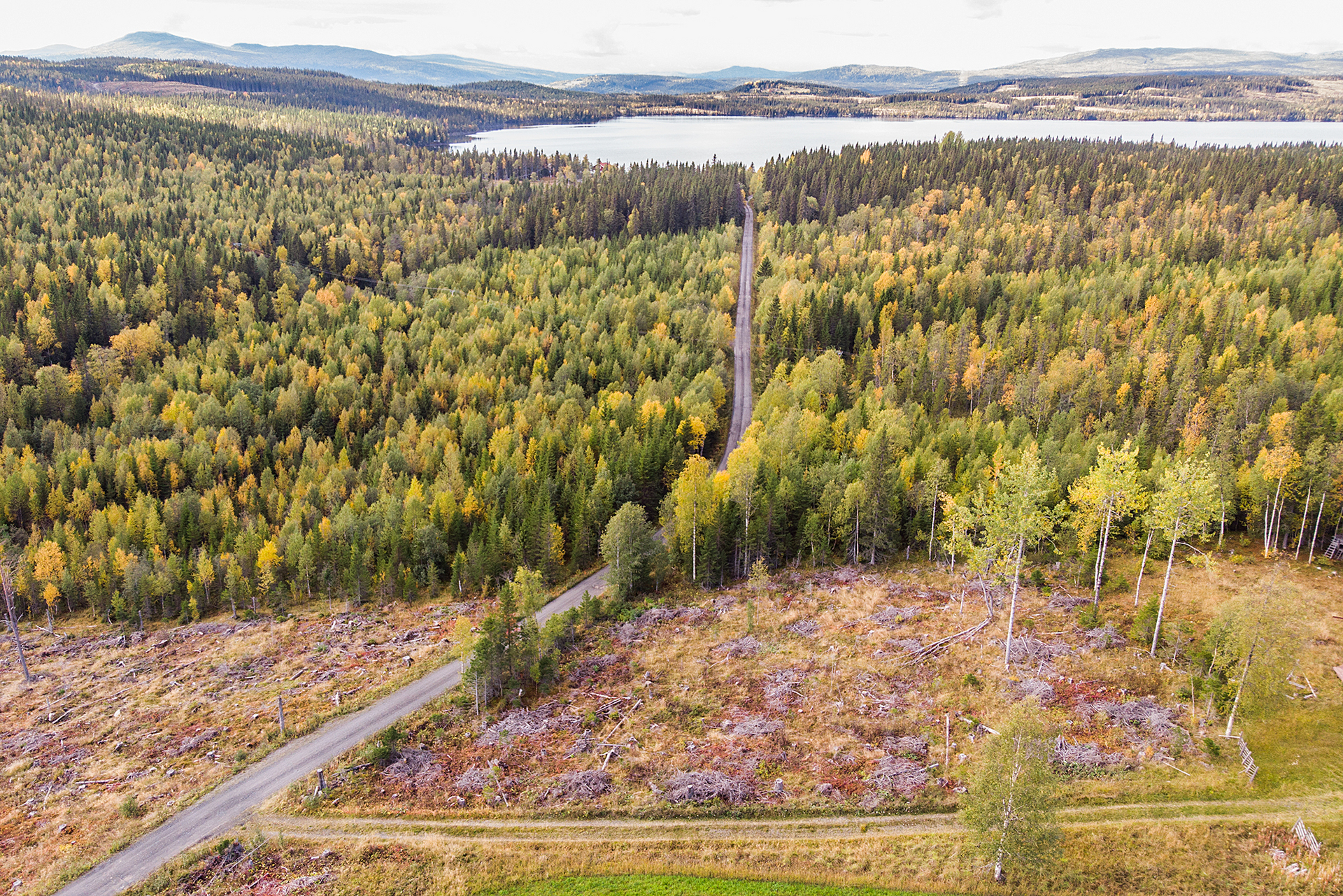 NYLAND 2:31 – bild 6