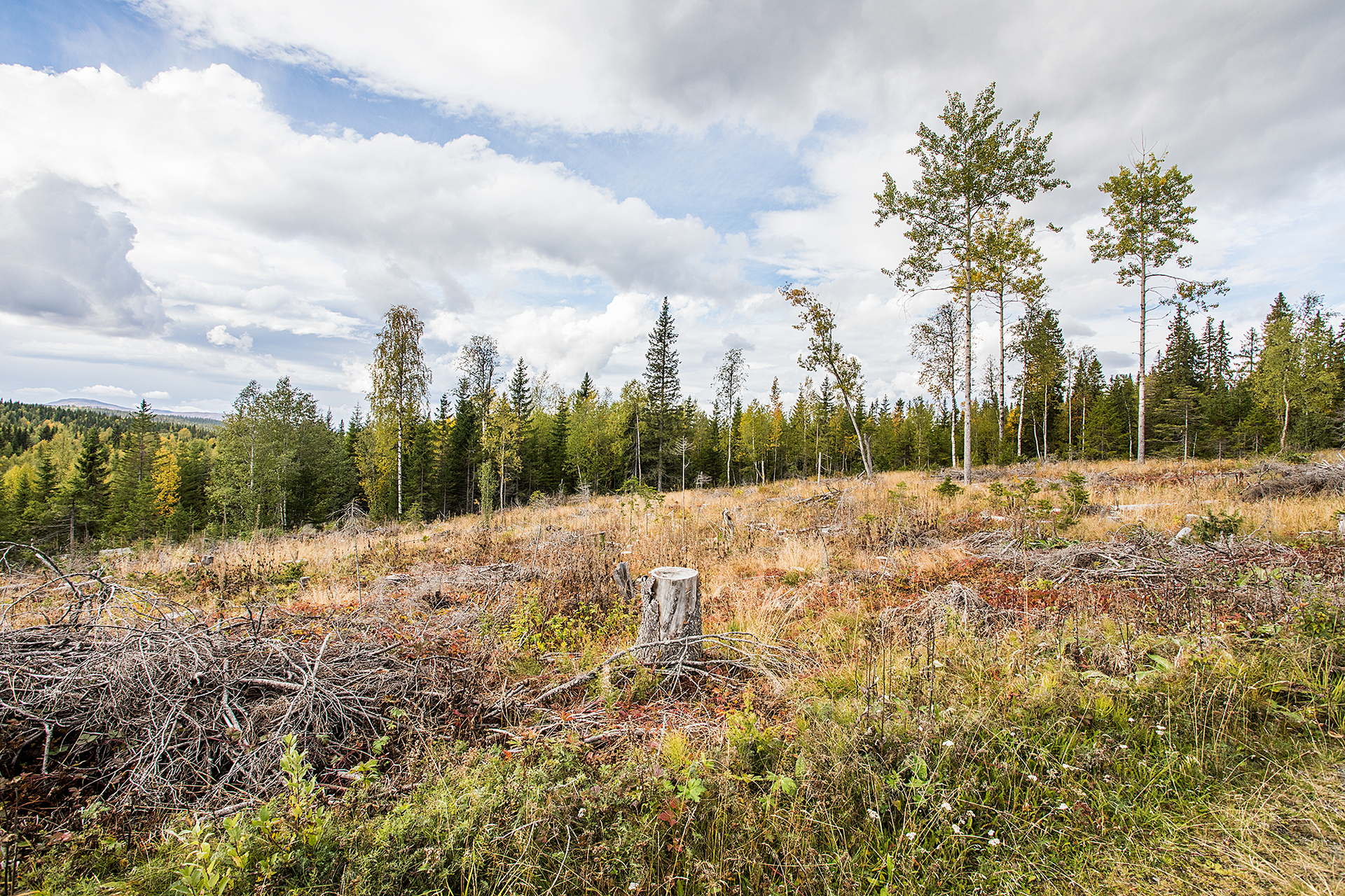 NYLAND 2:31 – bild 7