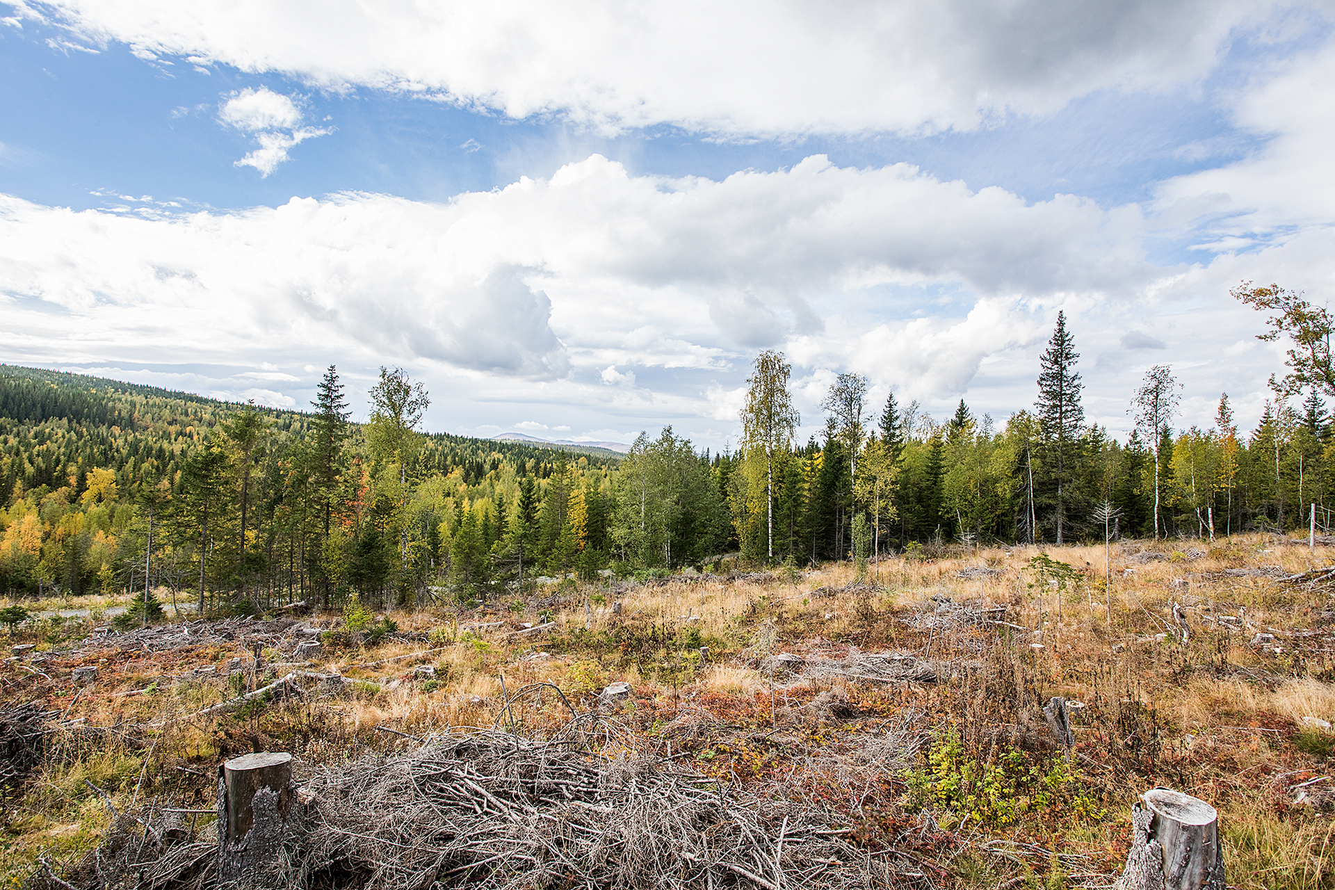 NYLAND 2:31 – bild 8