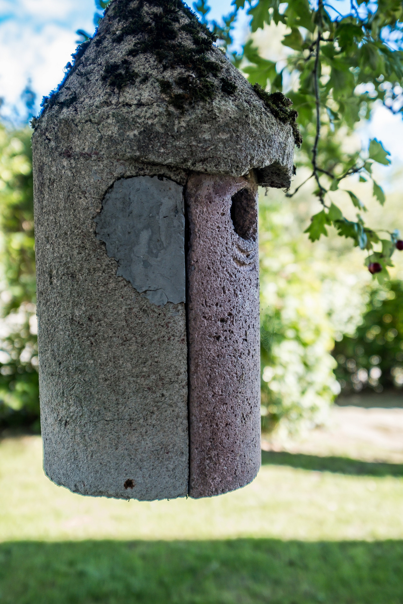Rosenstigen 5 – bild 7