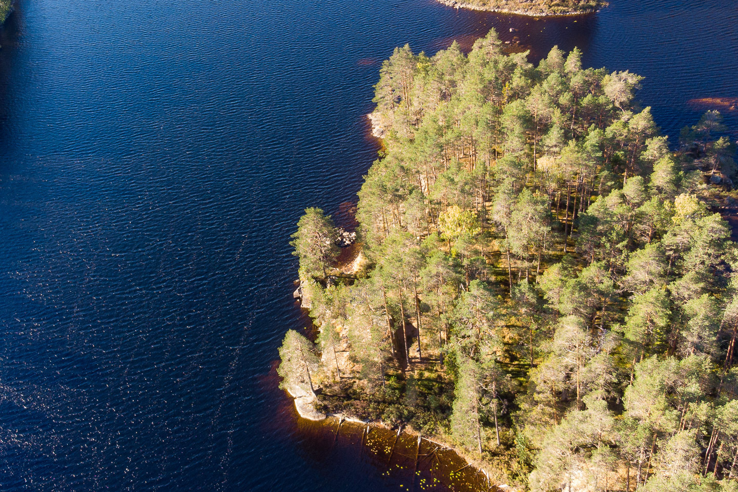 Hålevattnet Håltebyn – bild 5