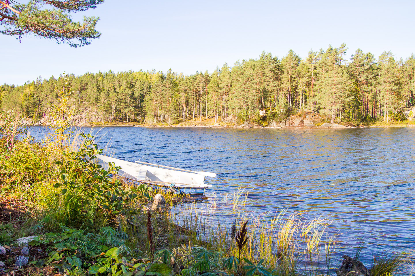 Hålevattnet Håltebyn – bild 4
