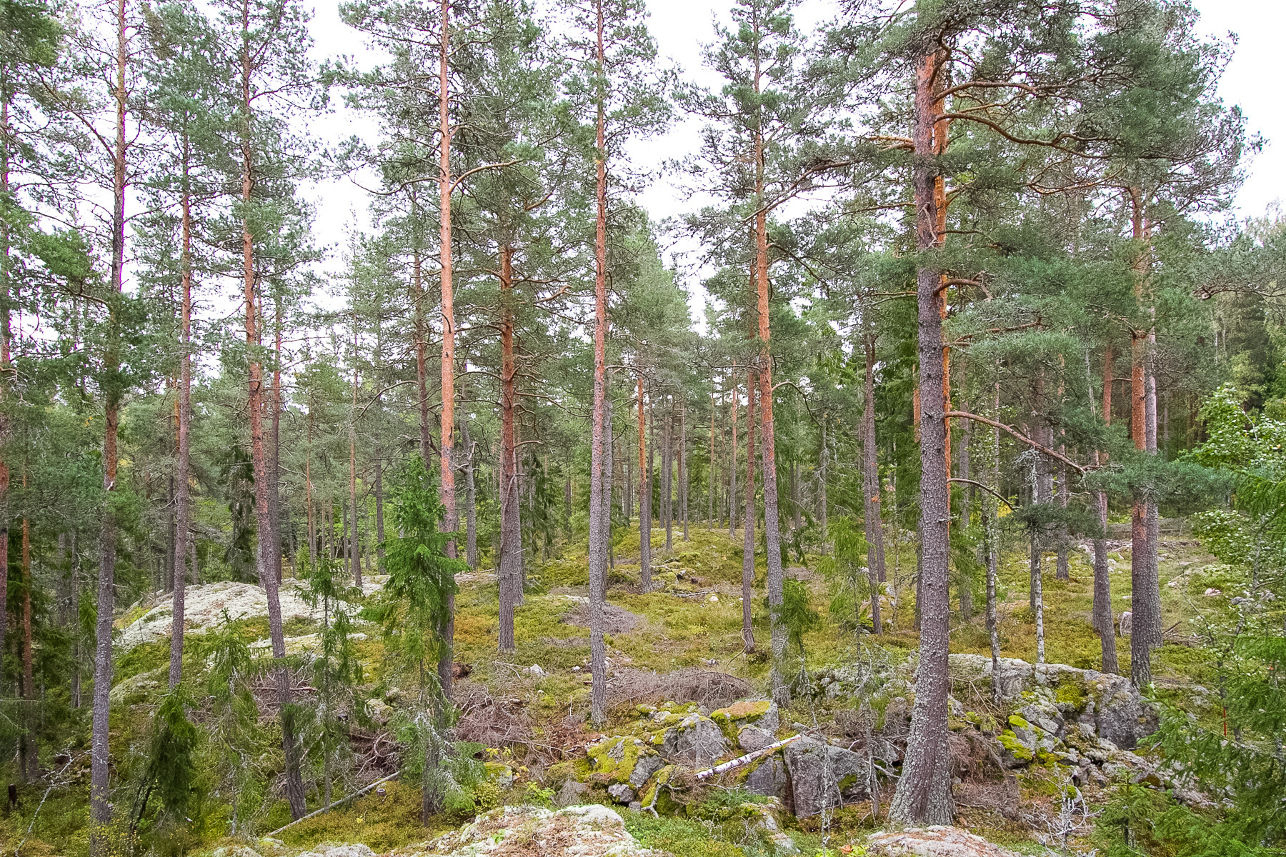 Hampetorp 1:29 – bild 3