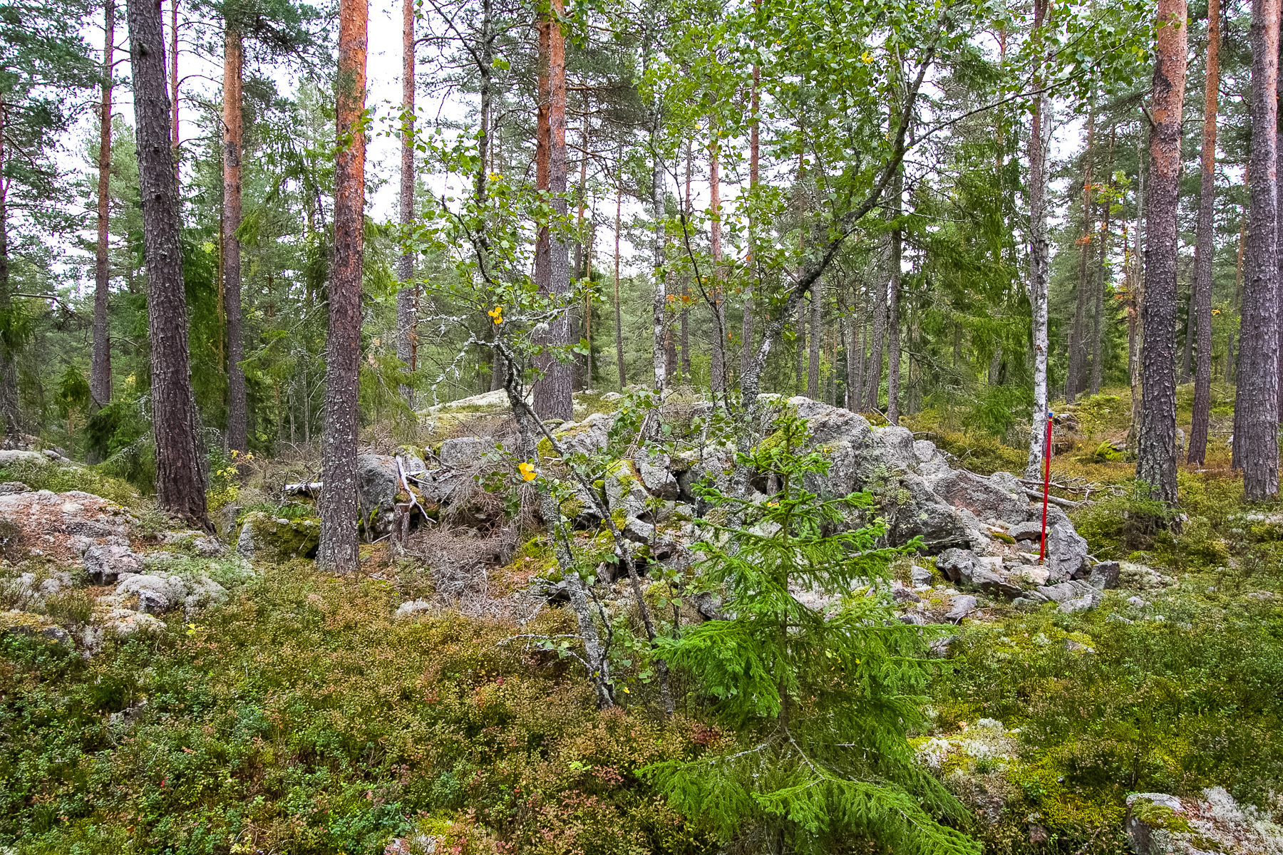 Hampetorp 1:29 – bild 6