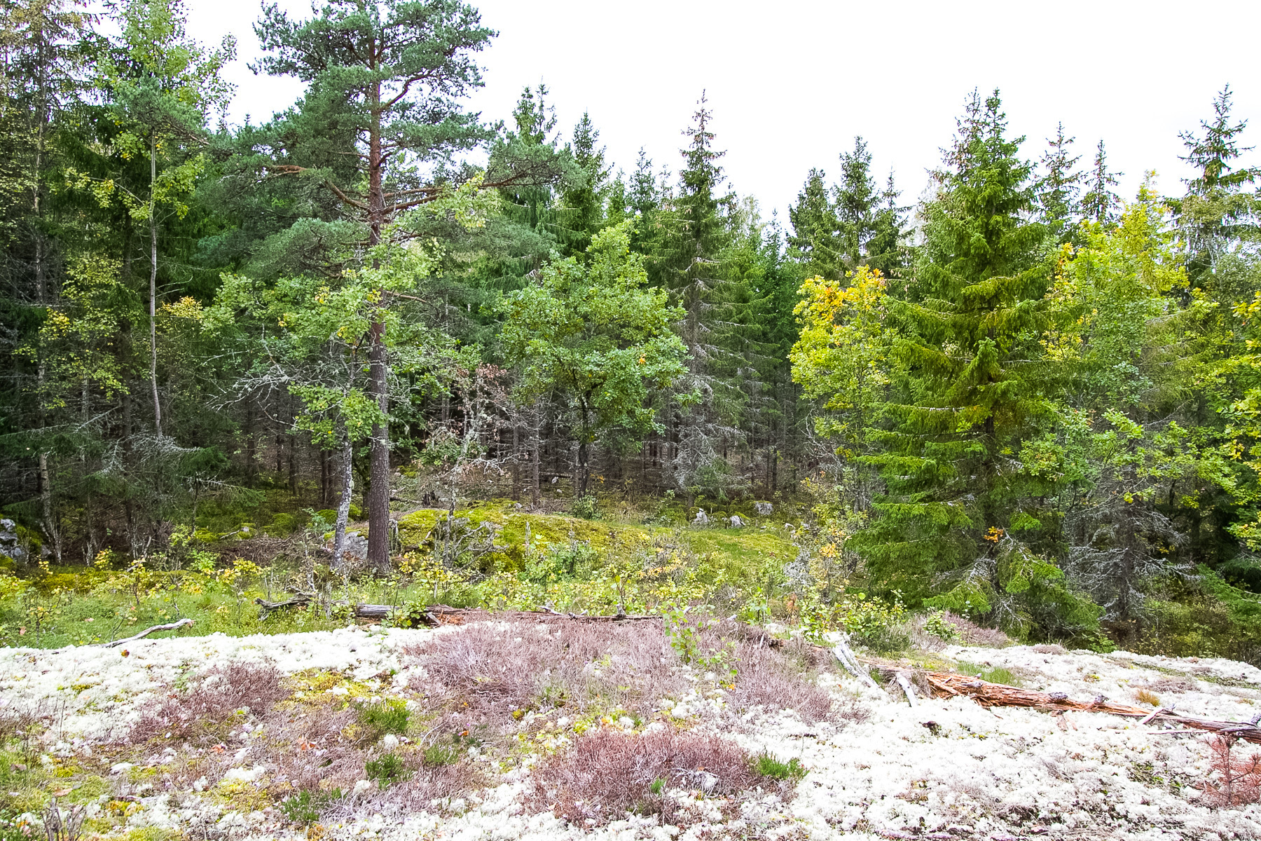 Hampetorp 1:29 – bild 7