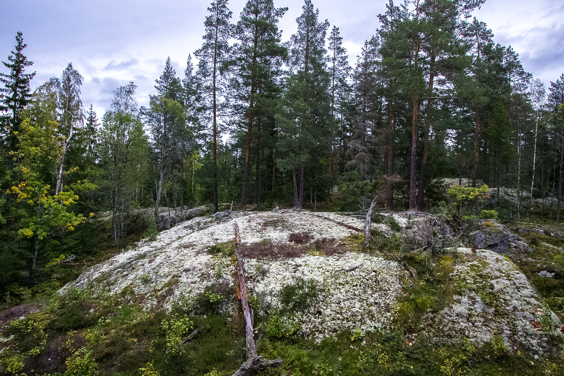 Hampetorp 1:29 – bild 5