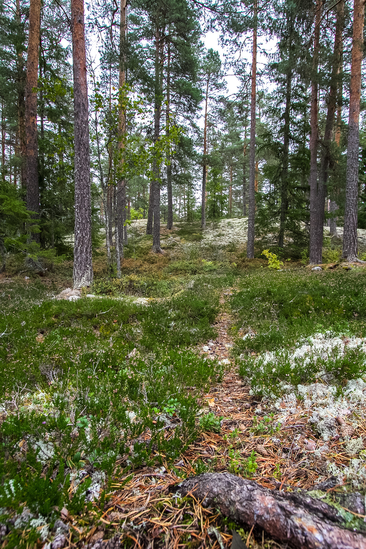 Hampetorp 1:29 – bild 8