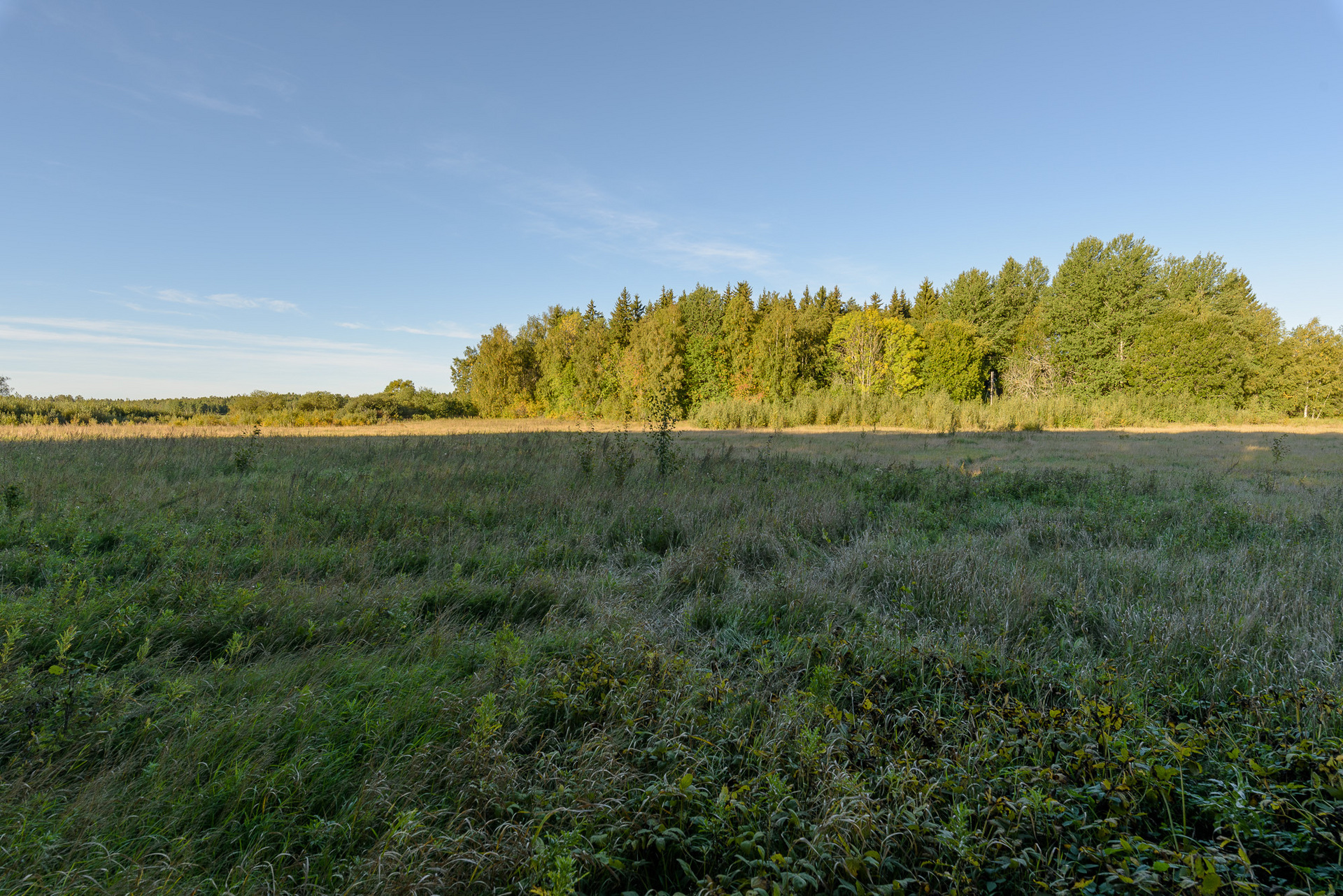 Ubblixbo 114 B – bild 4