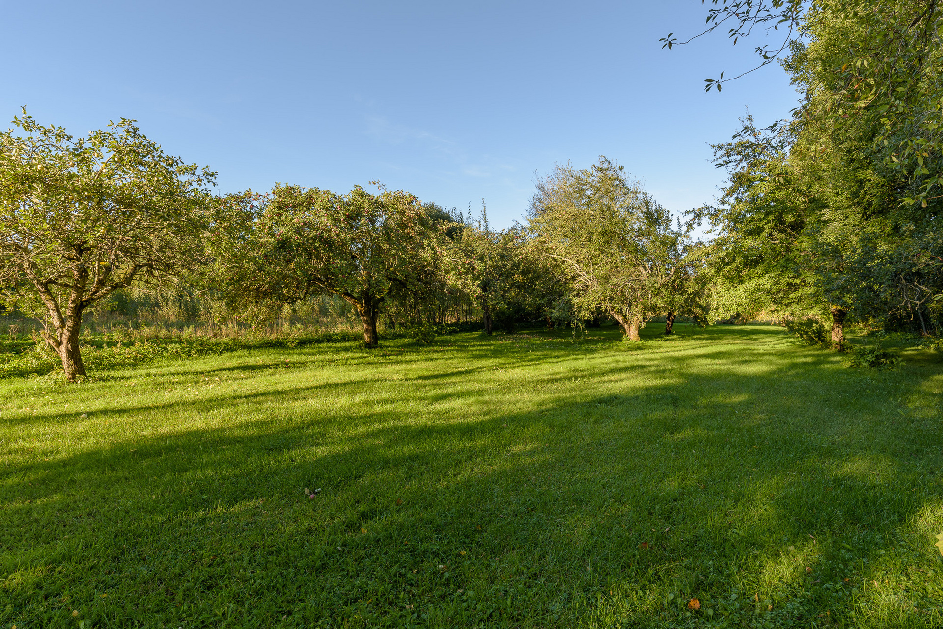 Ubblixbo 114 B – bild 6