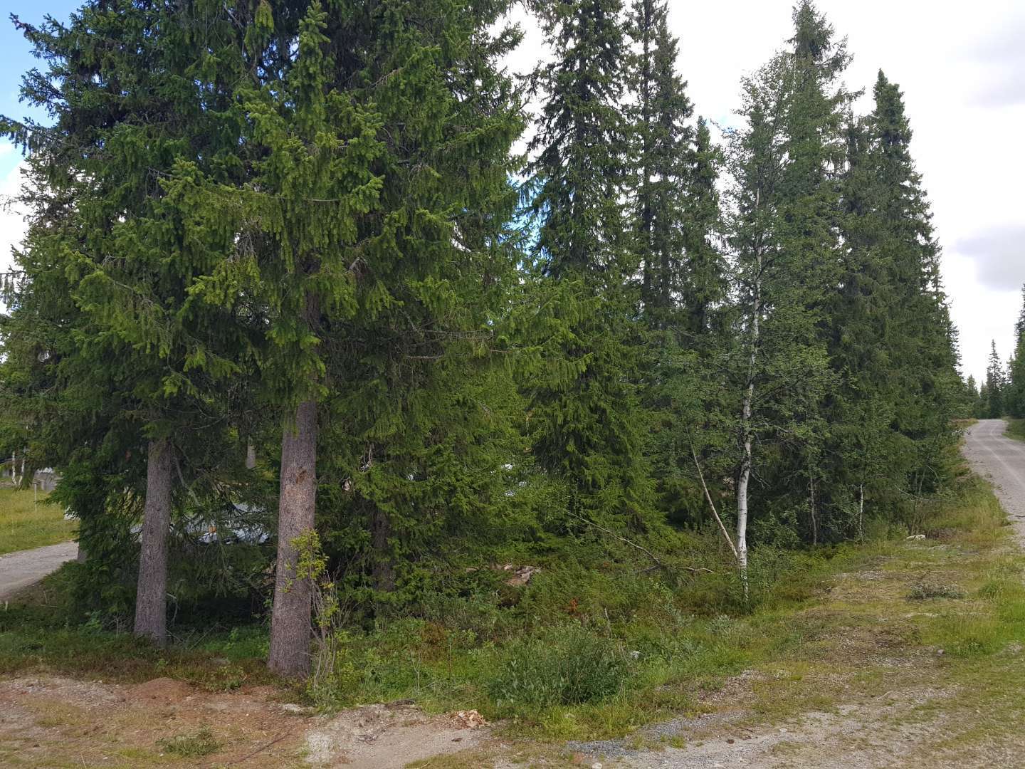 Björnliden 95 – bild 3