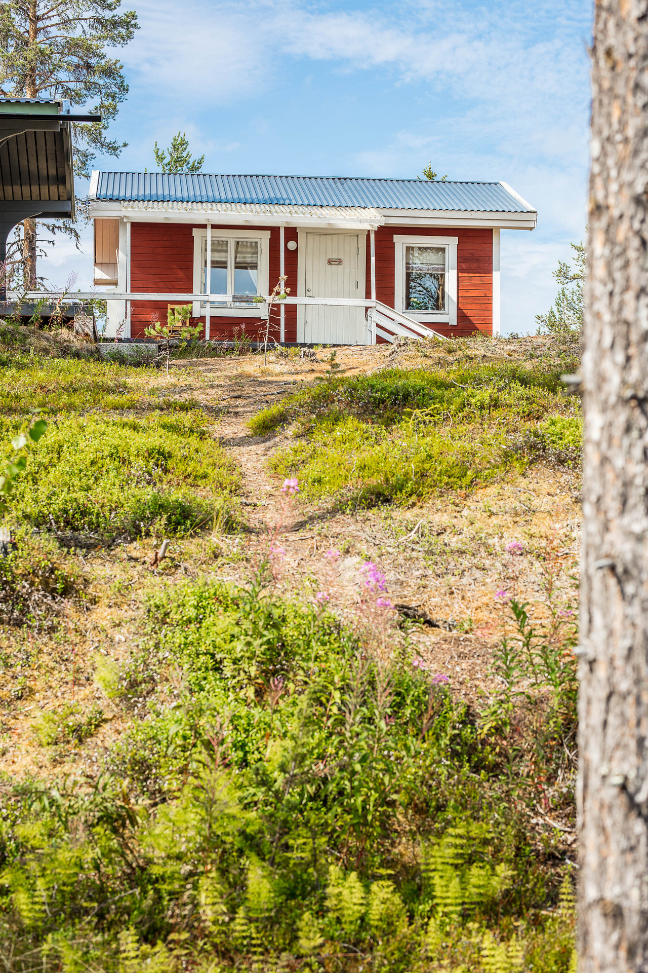 Särkimukka 19 – bild 4