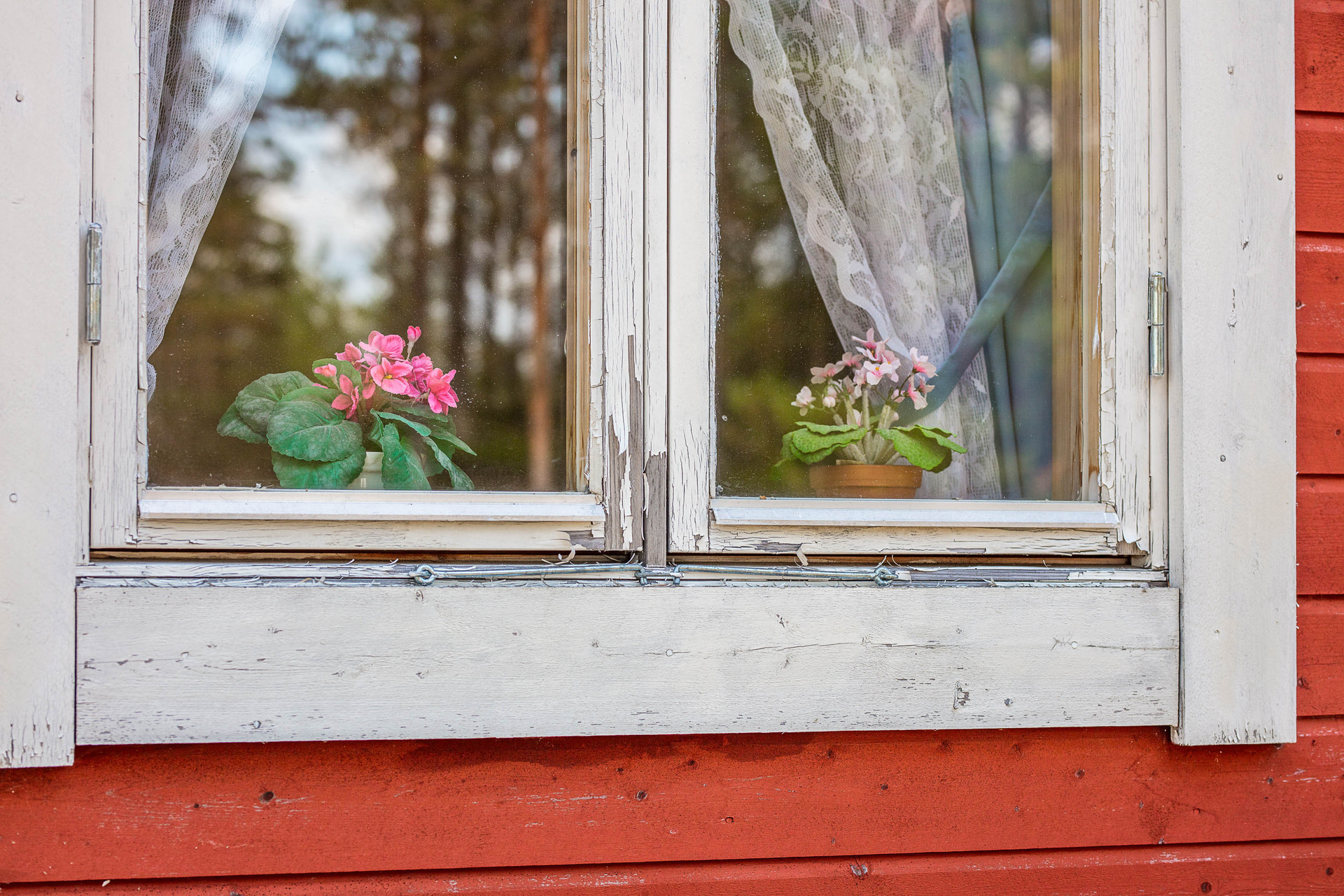 Särkimukka 19 – bild 6