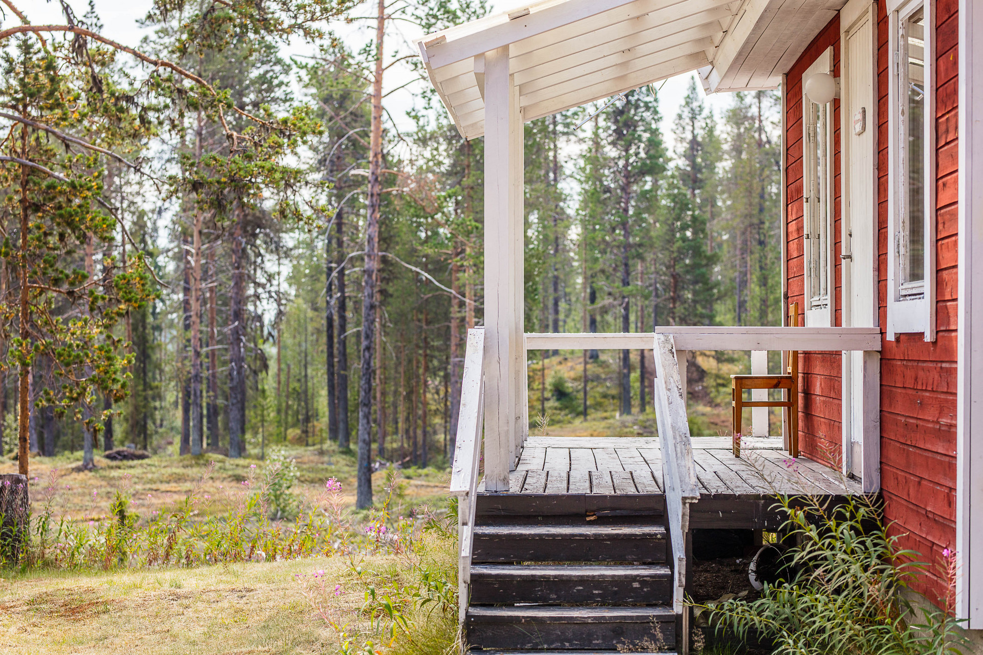 Särkimukka 19 – bild 5