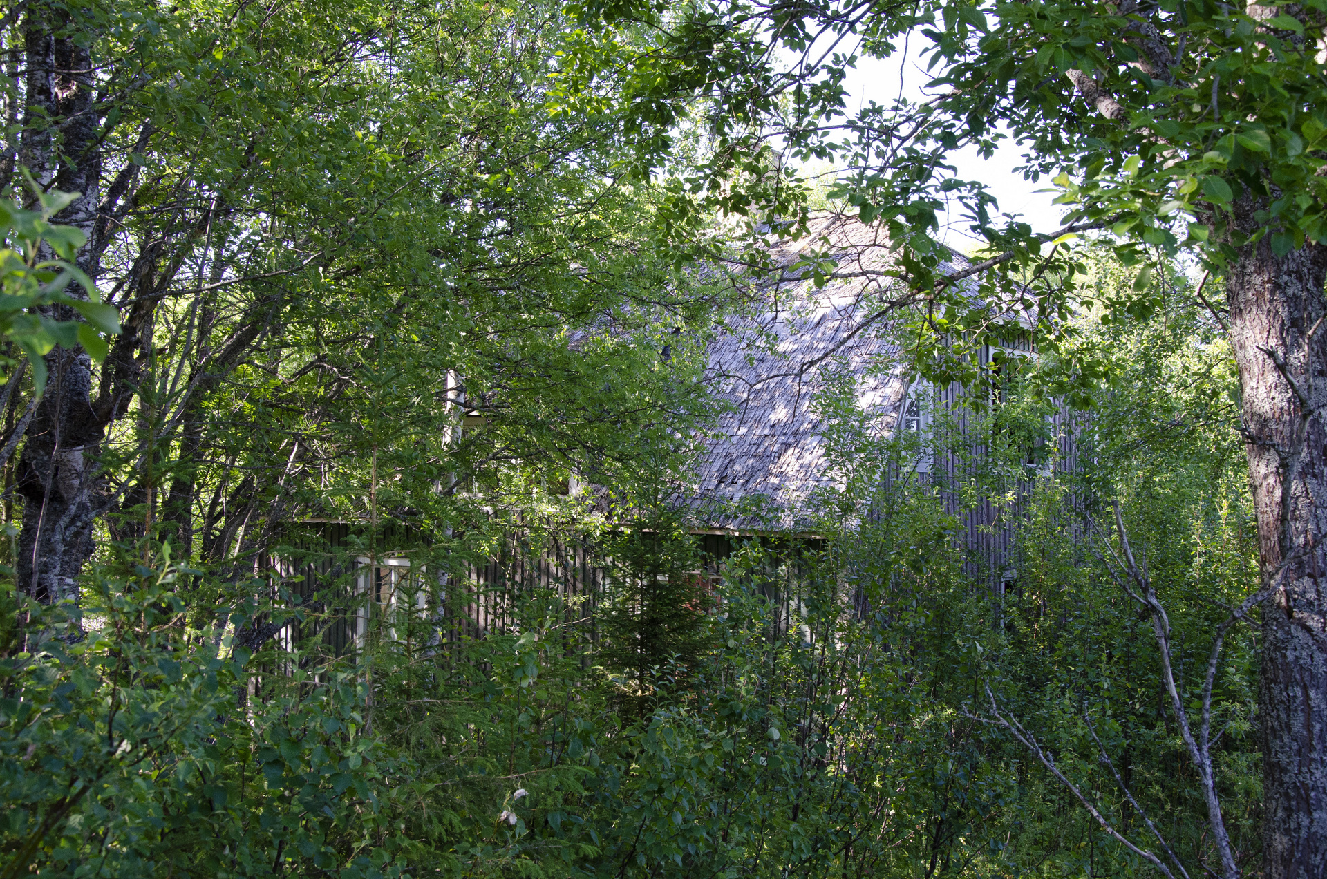 Ledningsmark 219 – bild 3