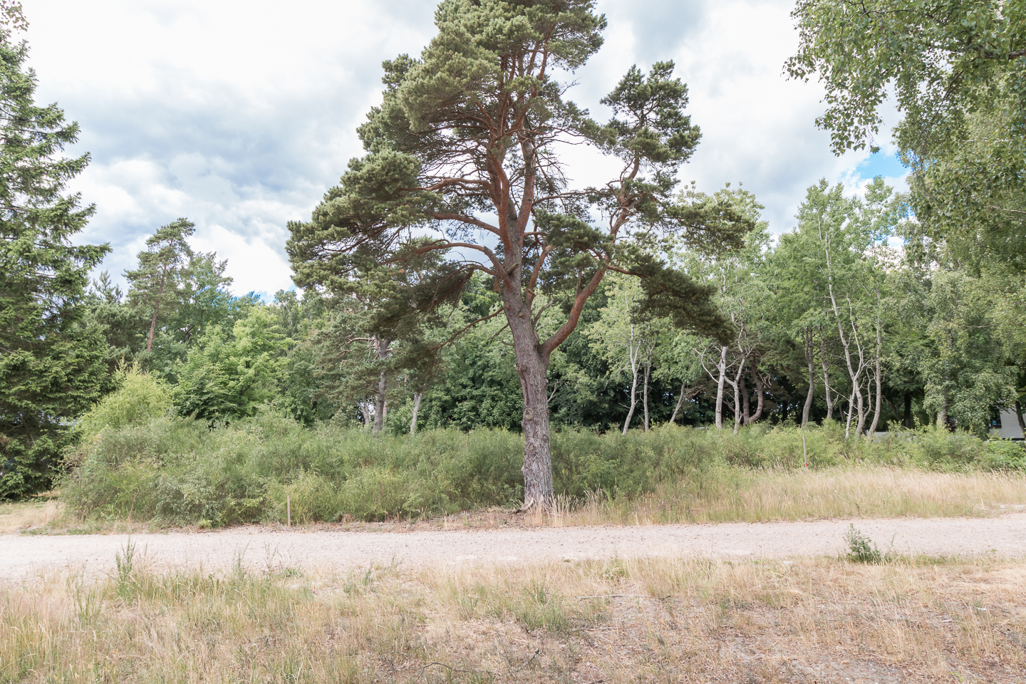 Styrmansvägen – bild 3