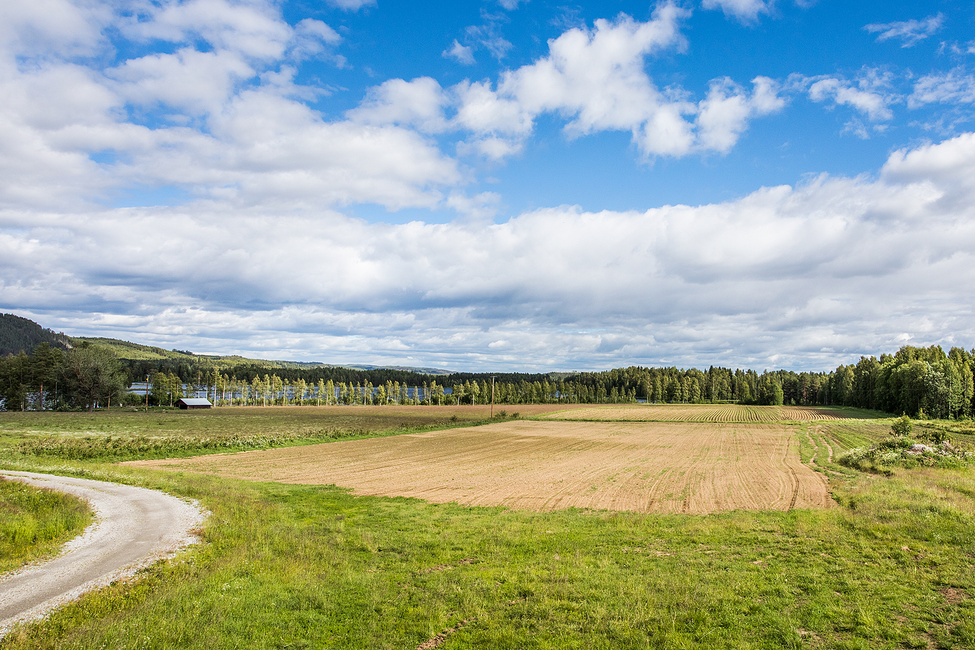 Orrnäs 395 – bild 3