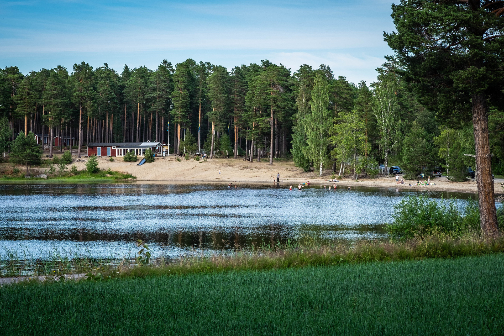 Blodmyra – bild 8