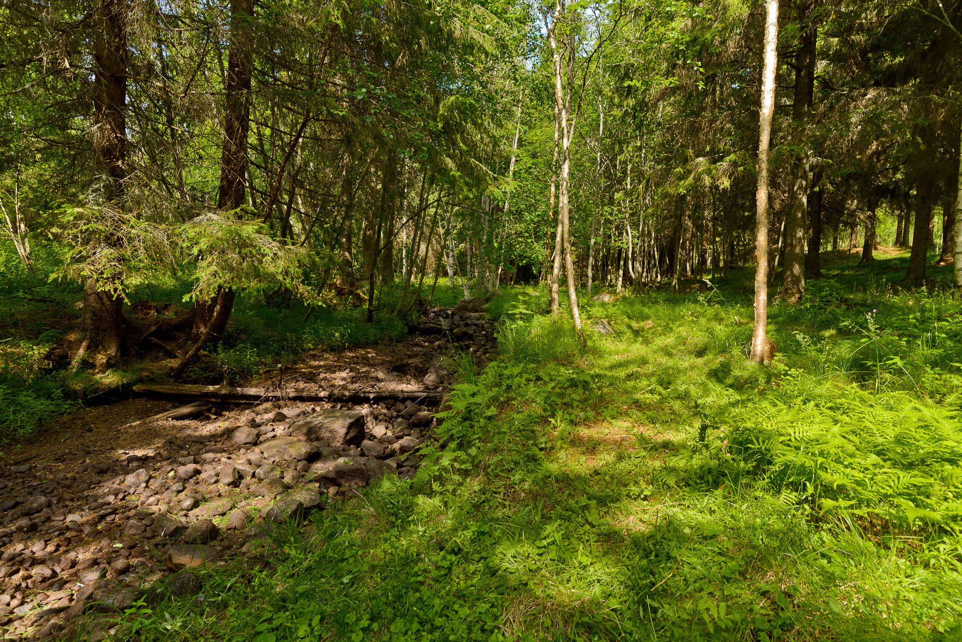 Lakabäcken – bild 4