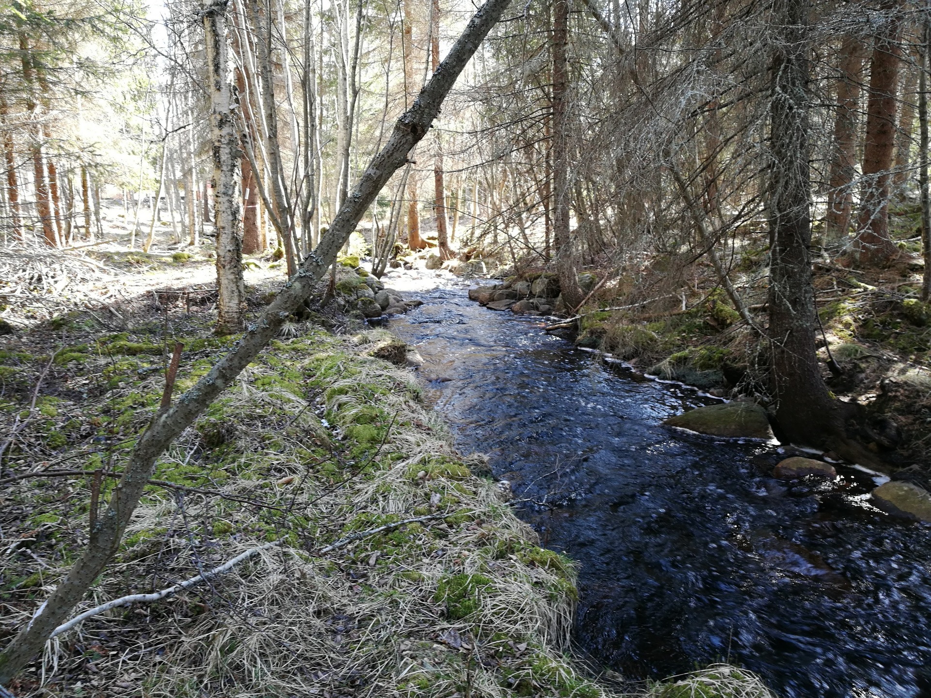 Lakabäcken – bild 7