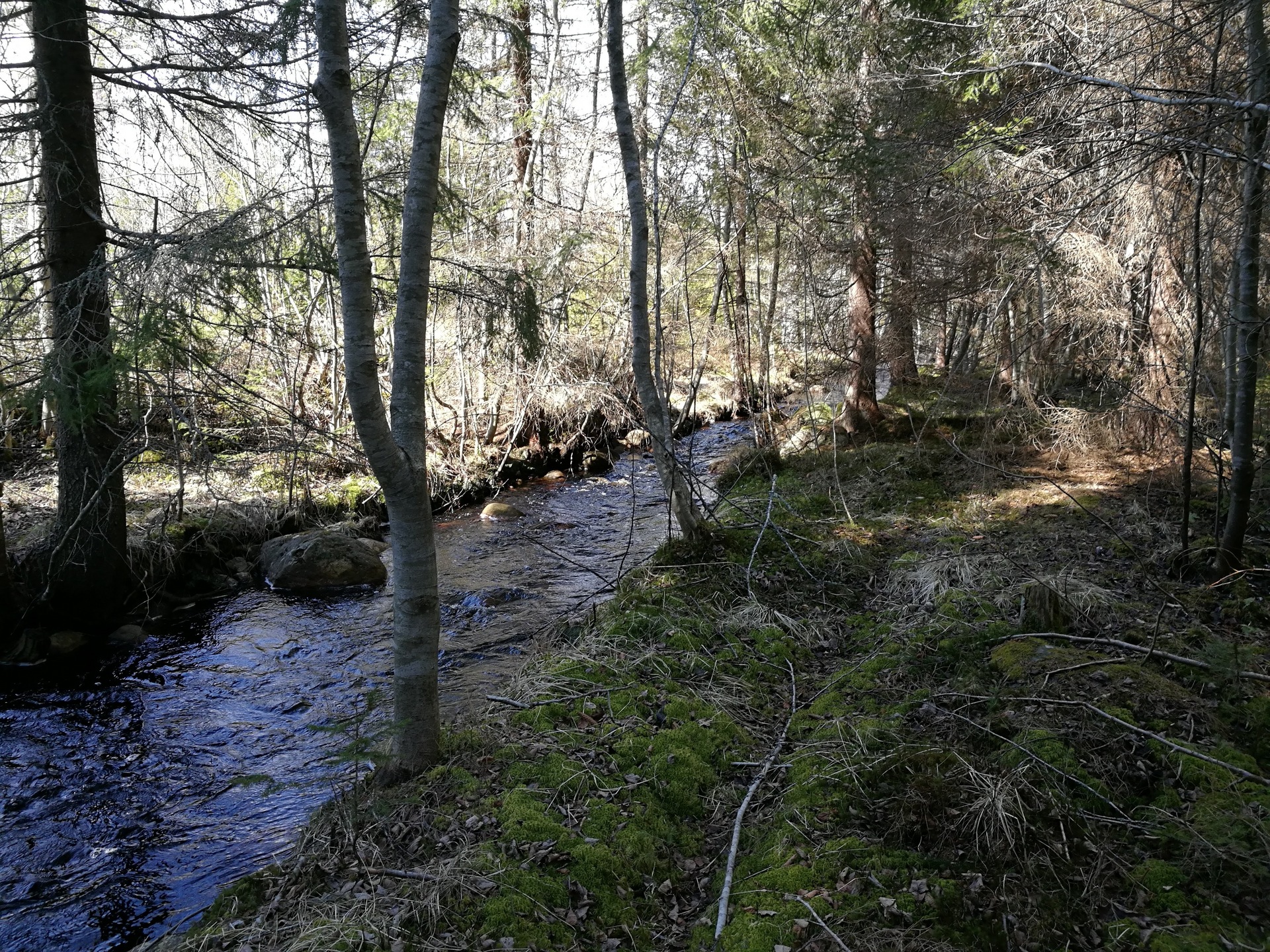 Lakabäcken – bild 8