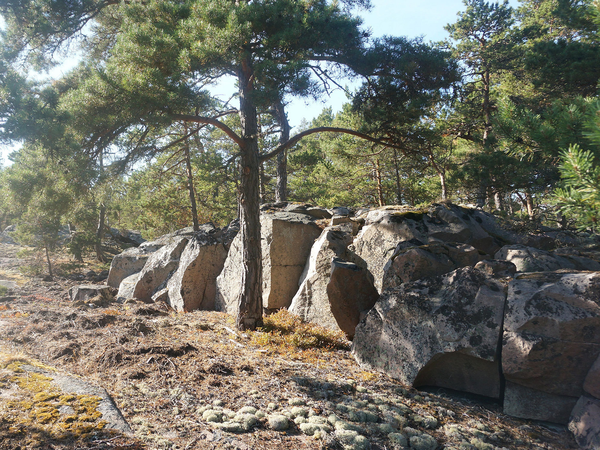 Vånö 1:117 Aspö – bild 6