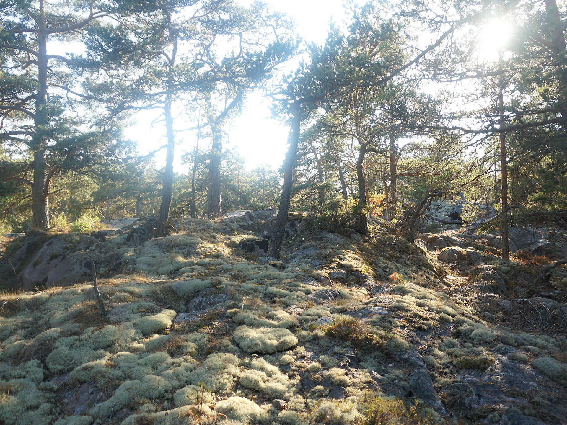 Vånö 1:117 Aspö – bild 7