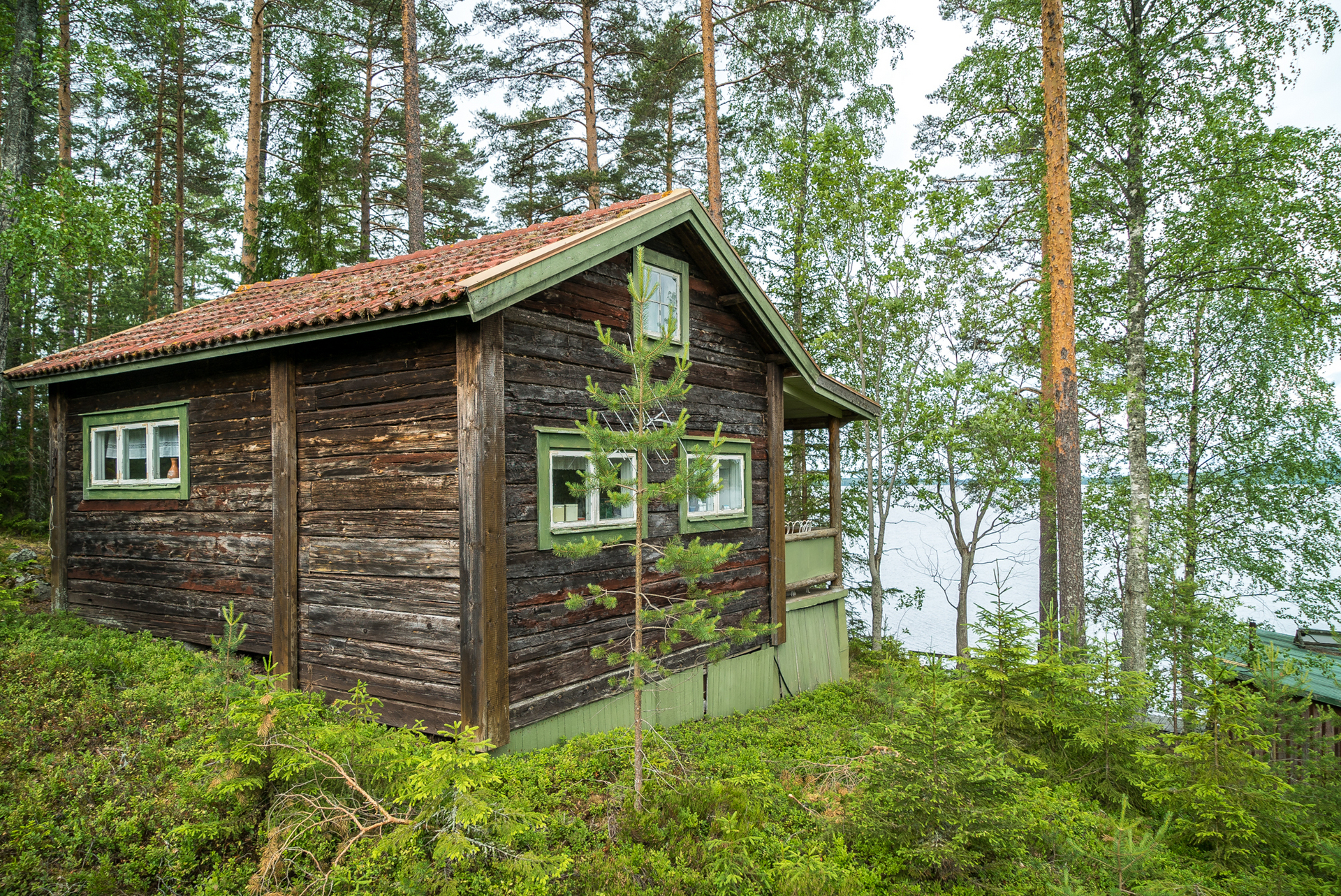 Östra Galvsjön 240 – bild 8