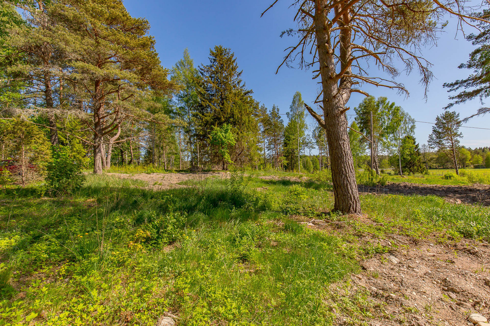 Vängsjöbergsvägen 252 – bild 4